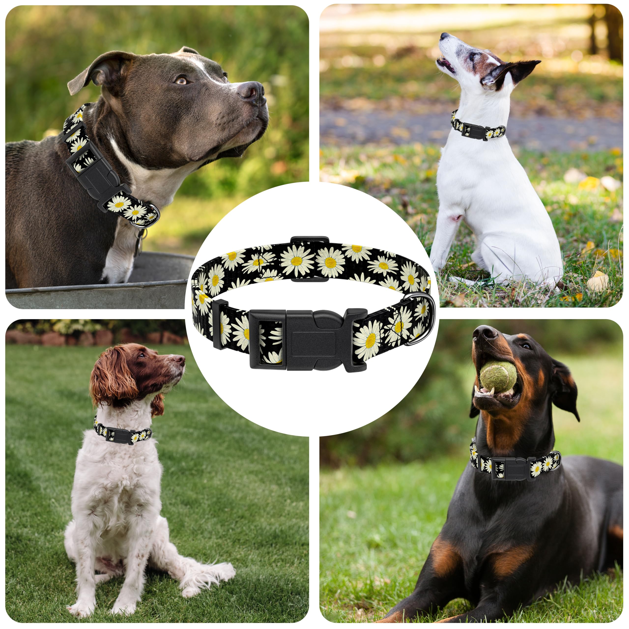 Seyezo Dog Collar, Daisy Boys Girls Puppy Collar For Small Medium Large Dogs, Adjustable Soft Floral Pet Collar With Safety Buck