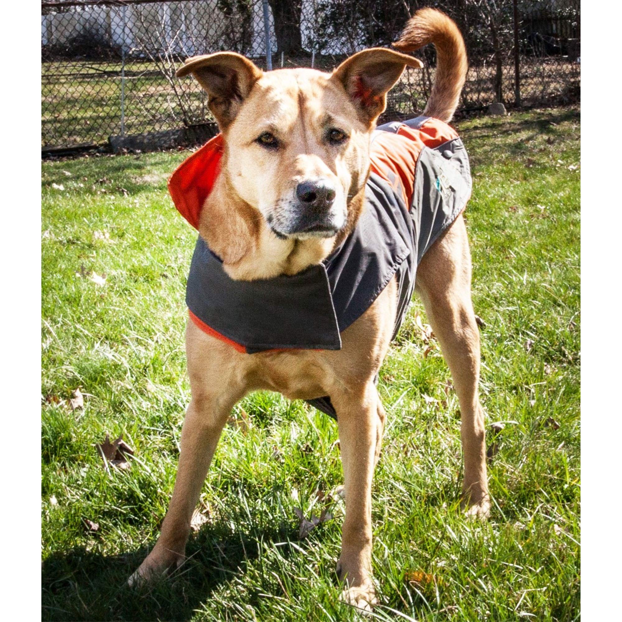 DOGHELIOS 'Lotus-Rusher' Waterproof 2-in-1 Pet Dog Jacket Coat with Removable Polar Fleece Lining w/ Blackshark technology, X-Sm