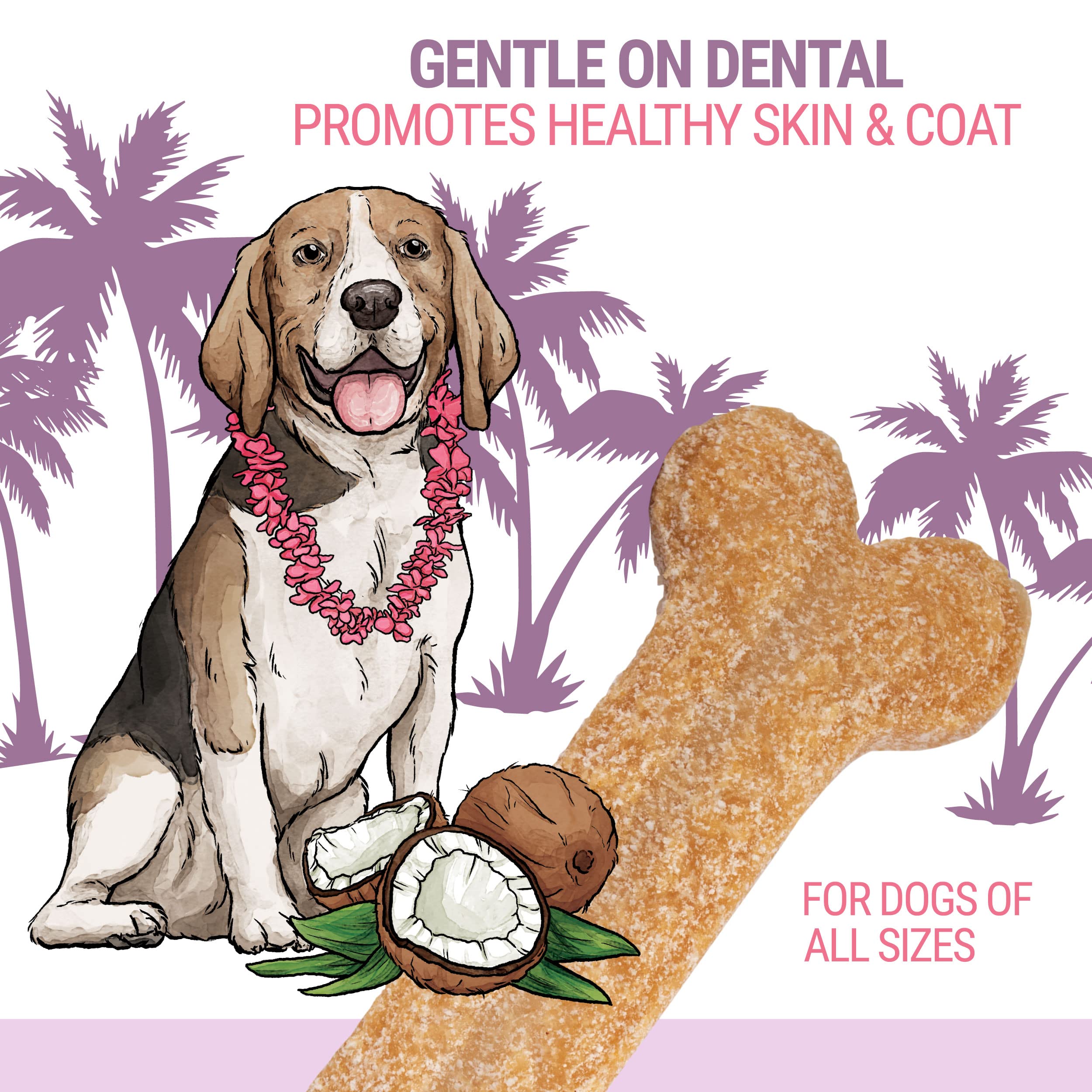 Himalayan Dog Coconut Bone Medium 3.25Oz