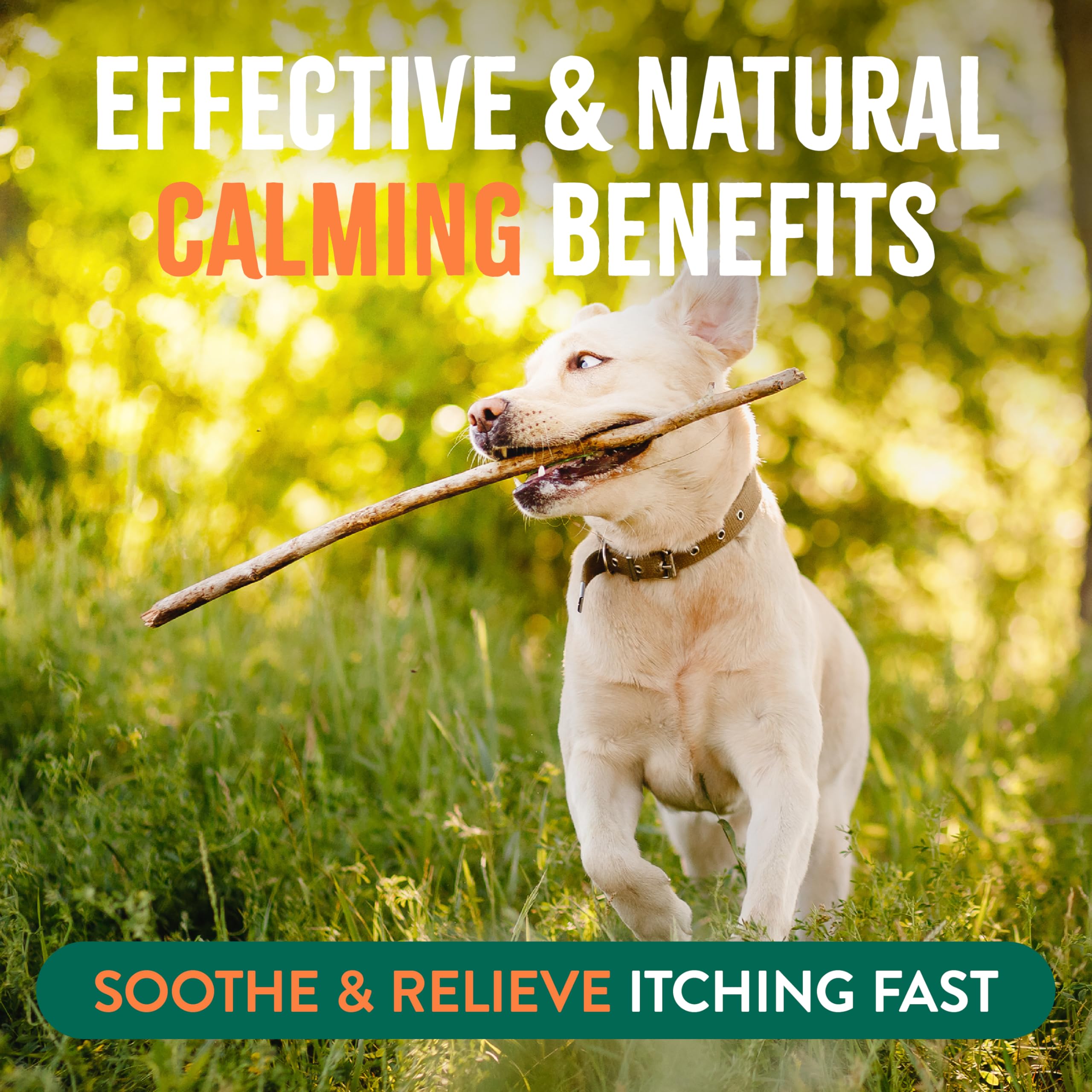 TropiClean Flea and Tick Bite Relief Treatment Spray for Dogs & Cats, Advanced Care Itch Relief Spray, Made in USA, 8oz