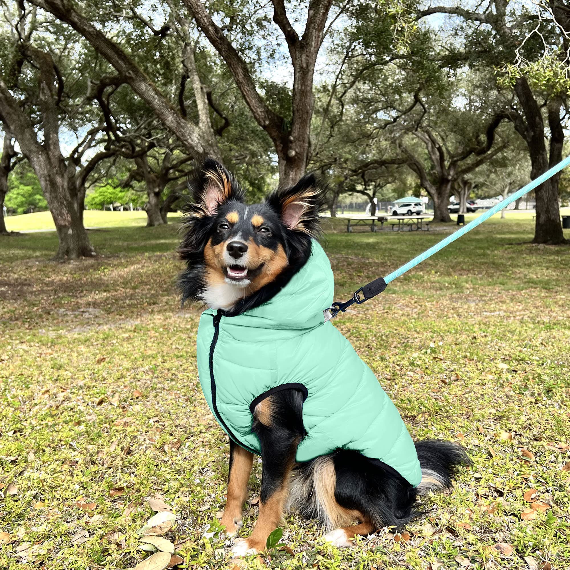 Pawtitas Reversible Dog Puffer Jacket | Water Resistant | Dog Coat For Winter To Keep Your Puppy Warm For Cold Weather Jacket |T