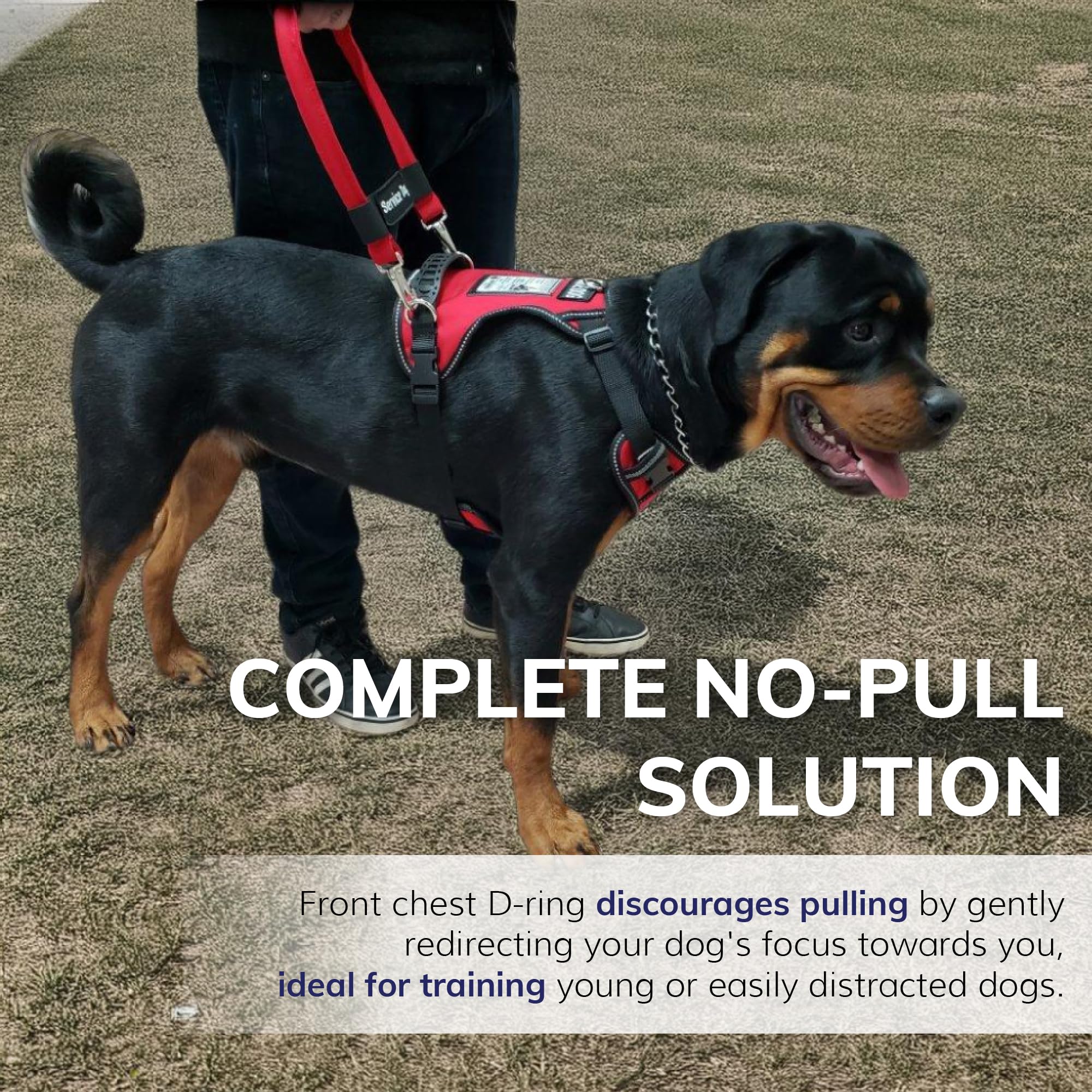 Activedogs Service Dog Vest No Pull Harness - Adjustable No Choke Service Dog Harness For Xl Dogs With Service Dog Patch, Control Handle, Id Window, D-Rings & Reflective Padding - Red, 31'-44'