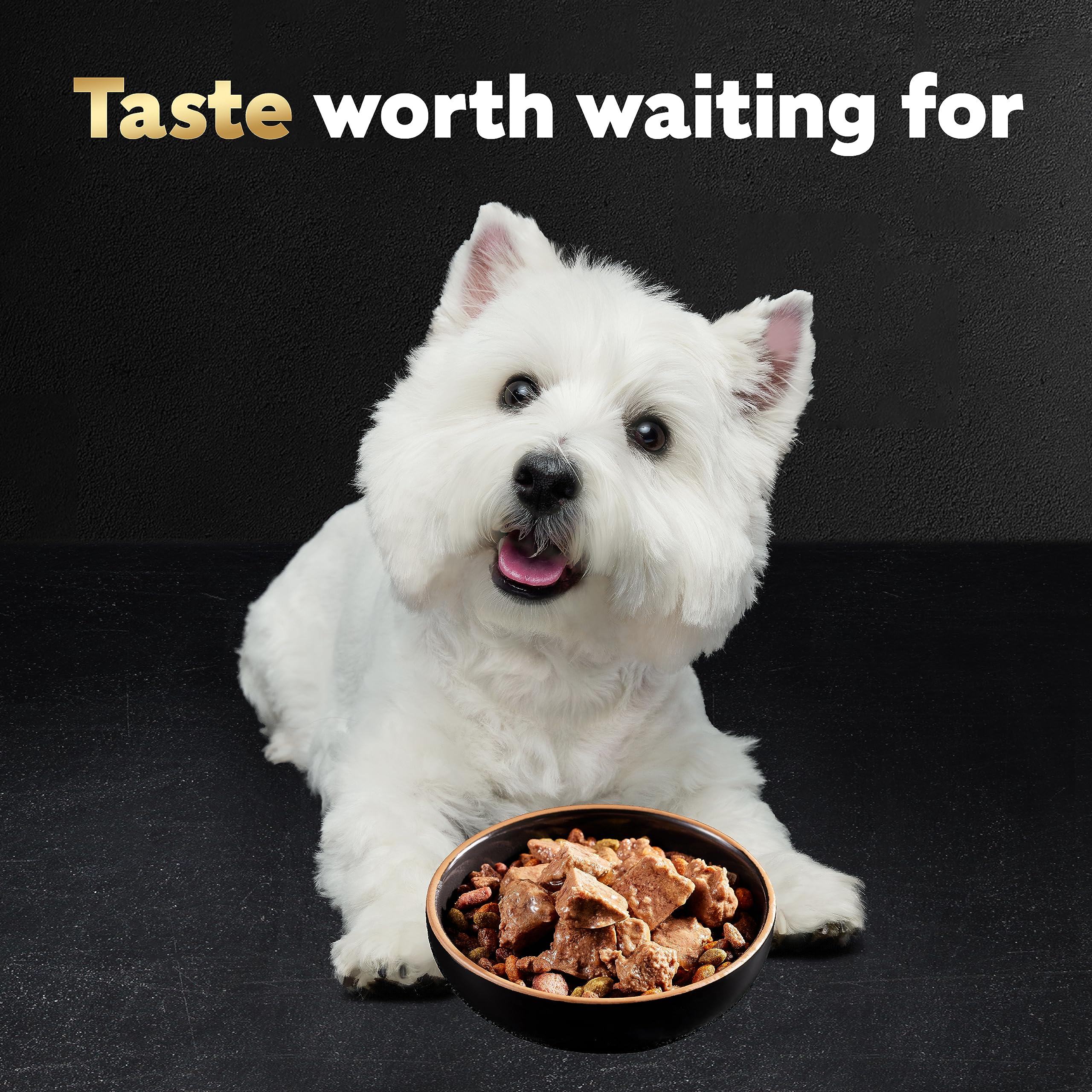 Cesar Wet Dog Food Loaf in Sauce Rotisserie Chicken Flavor with Bacon & Cheese and Filet Mignon Flavor with Bacon & Potato Varie