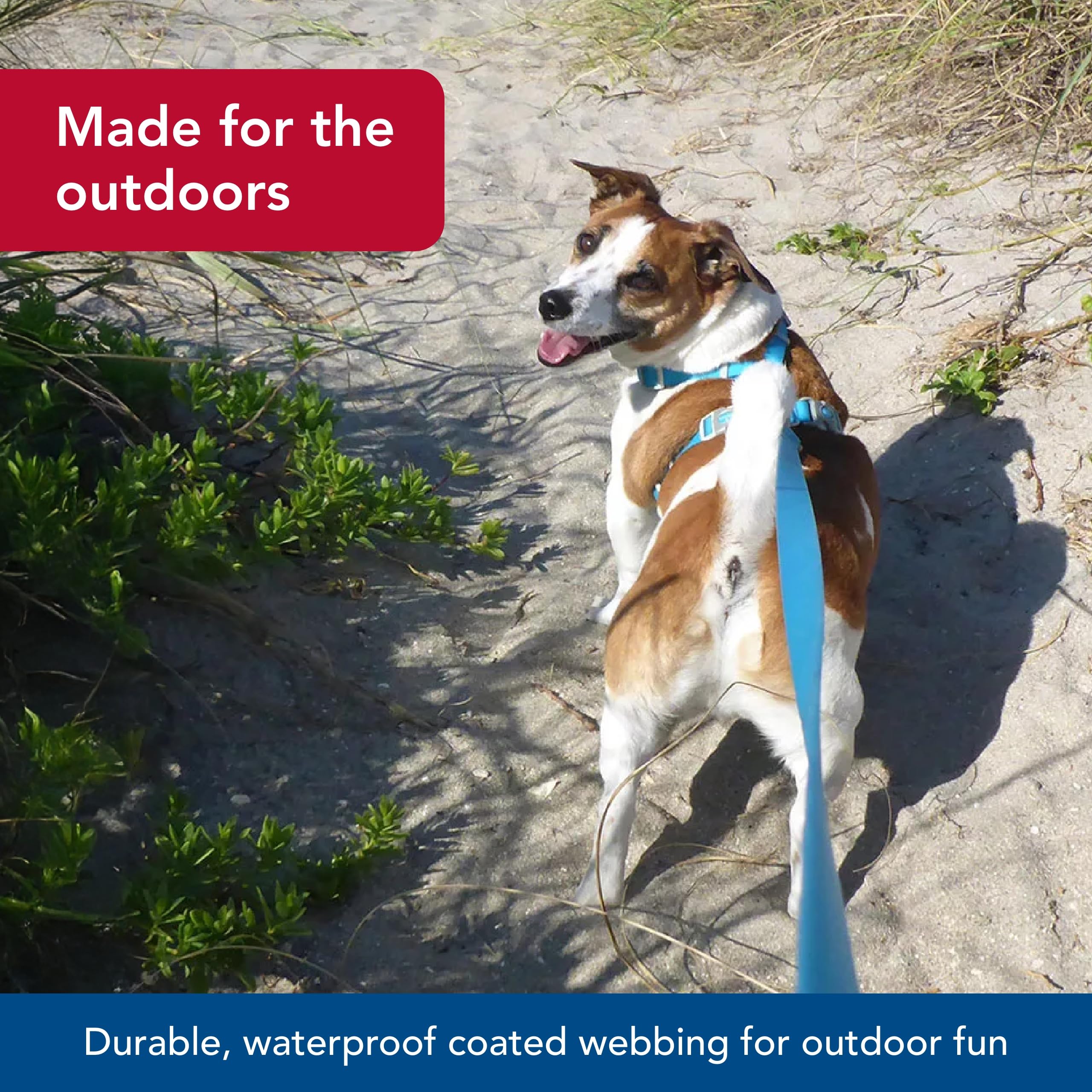 Coastal Pet - Pro Adjustable Waterproof Dog Collar With Waterproof Coated Webbing - Lime Green - 3/4    X 10''-14