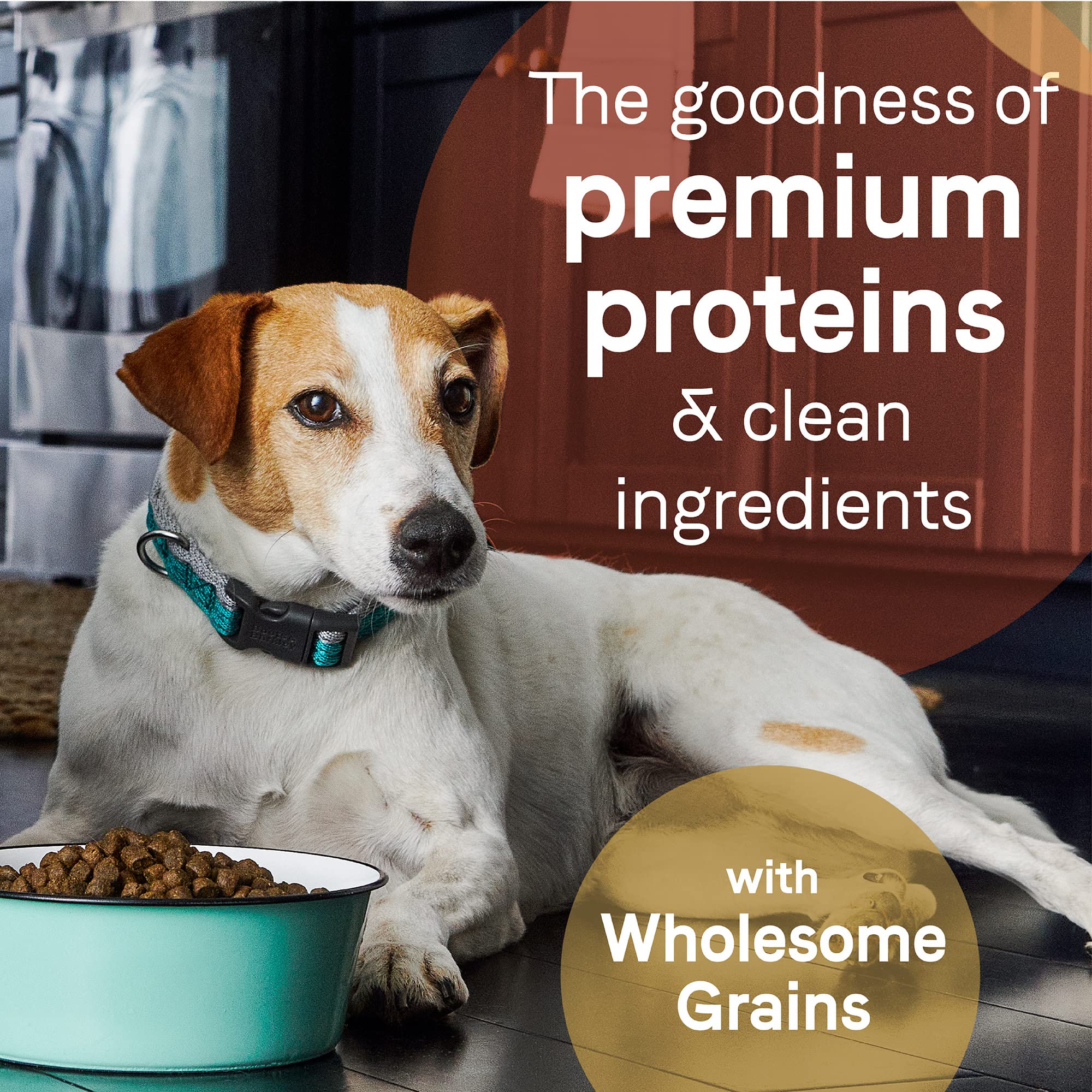 CANIDAE Pure Limited Ingredient Premium Adult Dry Dog Food, Real Salmon & Barley Recipe, 22 lbs, with Wholesome Grains