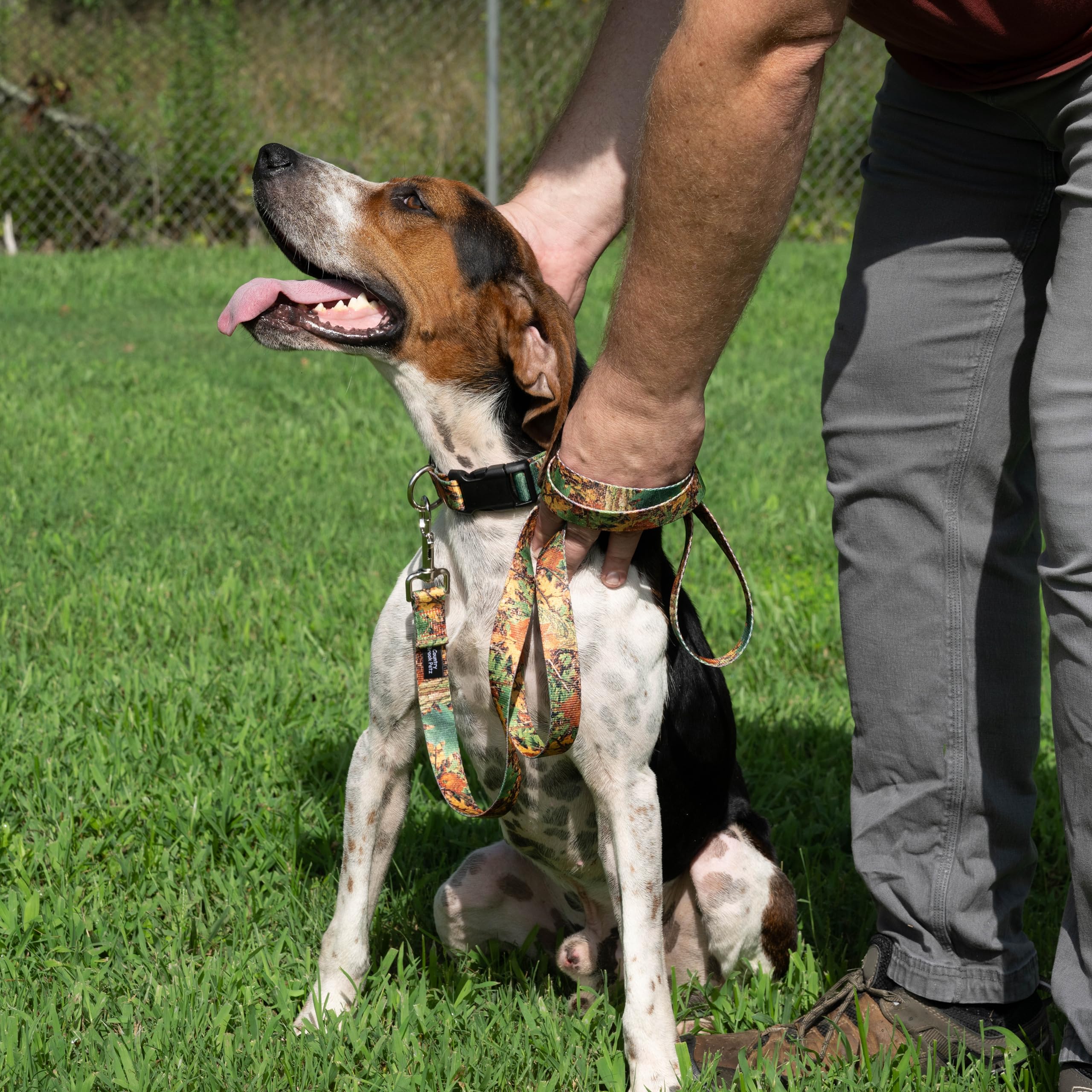 Country Brook Petz - Deluxe Southern Forest Camo Dog Collar - Camouflage Collection Featuring Rugged Designs (1/2 Inch, 2Xs)