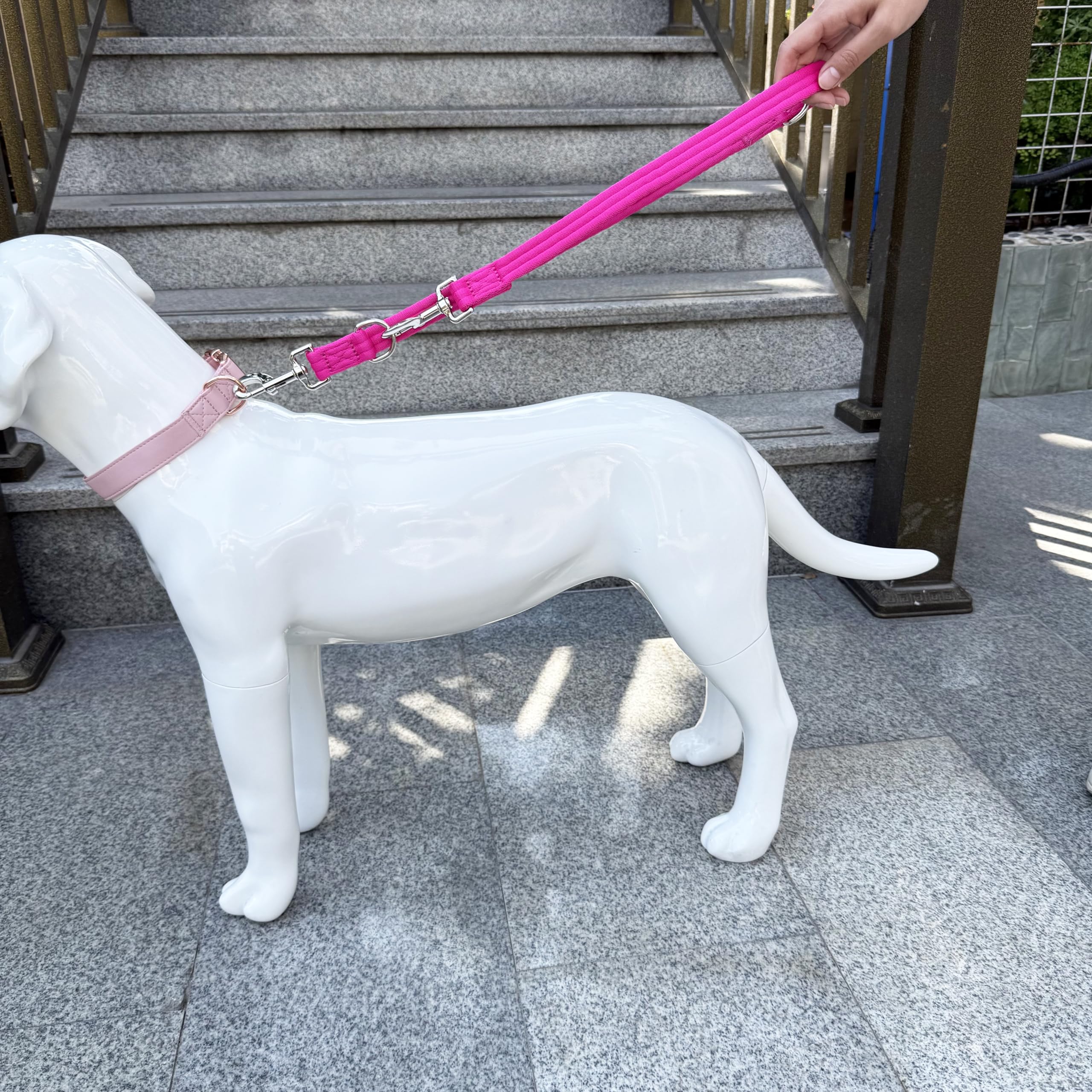 Double Ended Dog Leash,For Obedience Training Easy To Use,Lightweight,Soft For Large And Medium Dogs (Fuchsia, 1M*2.5Cm)
