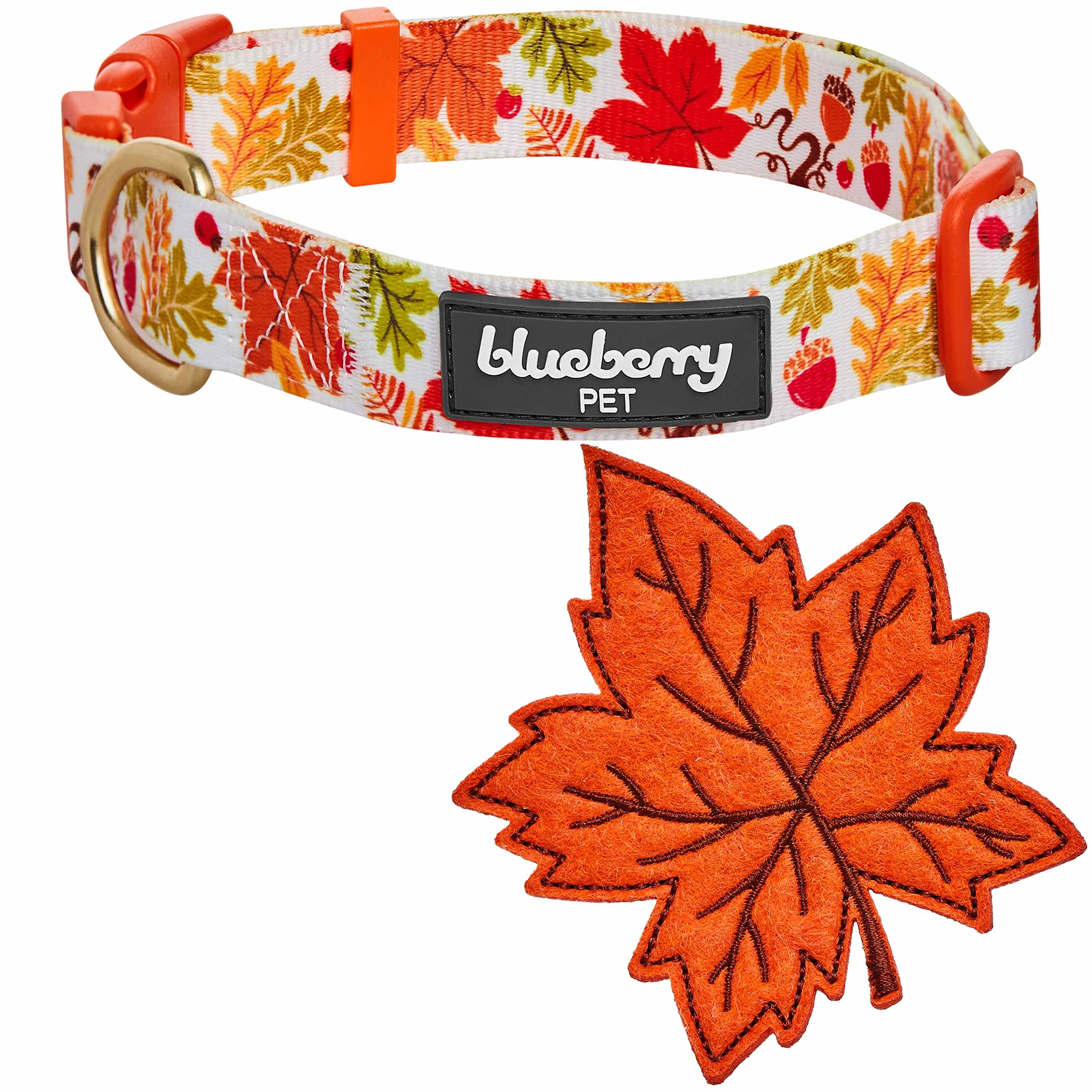 Blueberry Pet Thanksgiving Fall Maple Adjustable Dog Collar with Detachable Accessory, Small, Neck 12''-16''