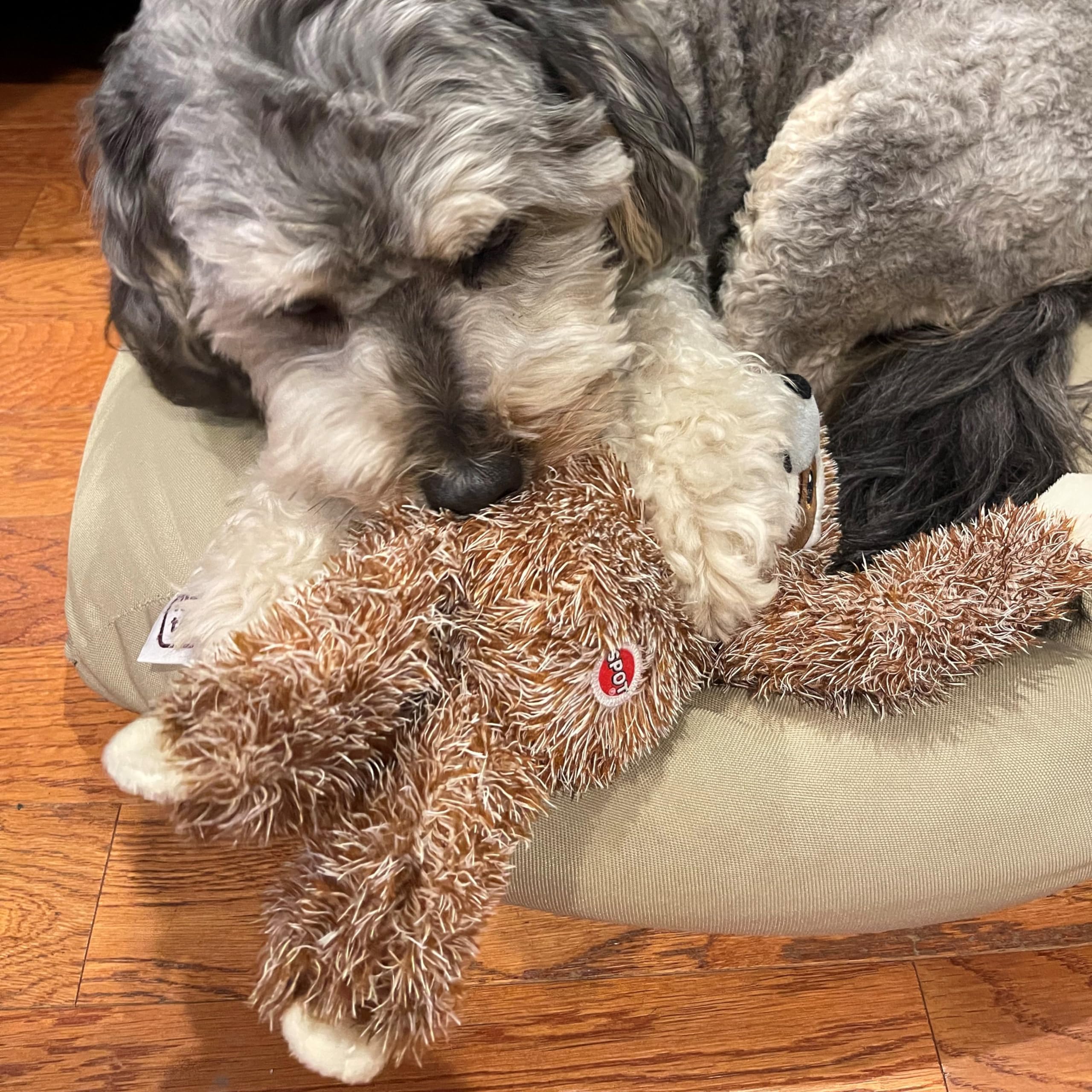 Spot Fun Sloth Dog Toy - Soft, Stuffed, Squeaky, Plush Fabric Toy For Medium And Large Dogs And Puppies, Enrichment For Light Chewers And Cuddlers, 13In