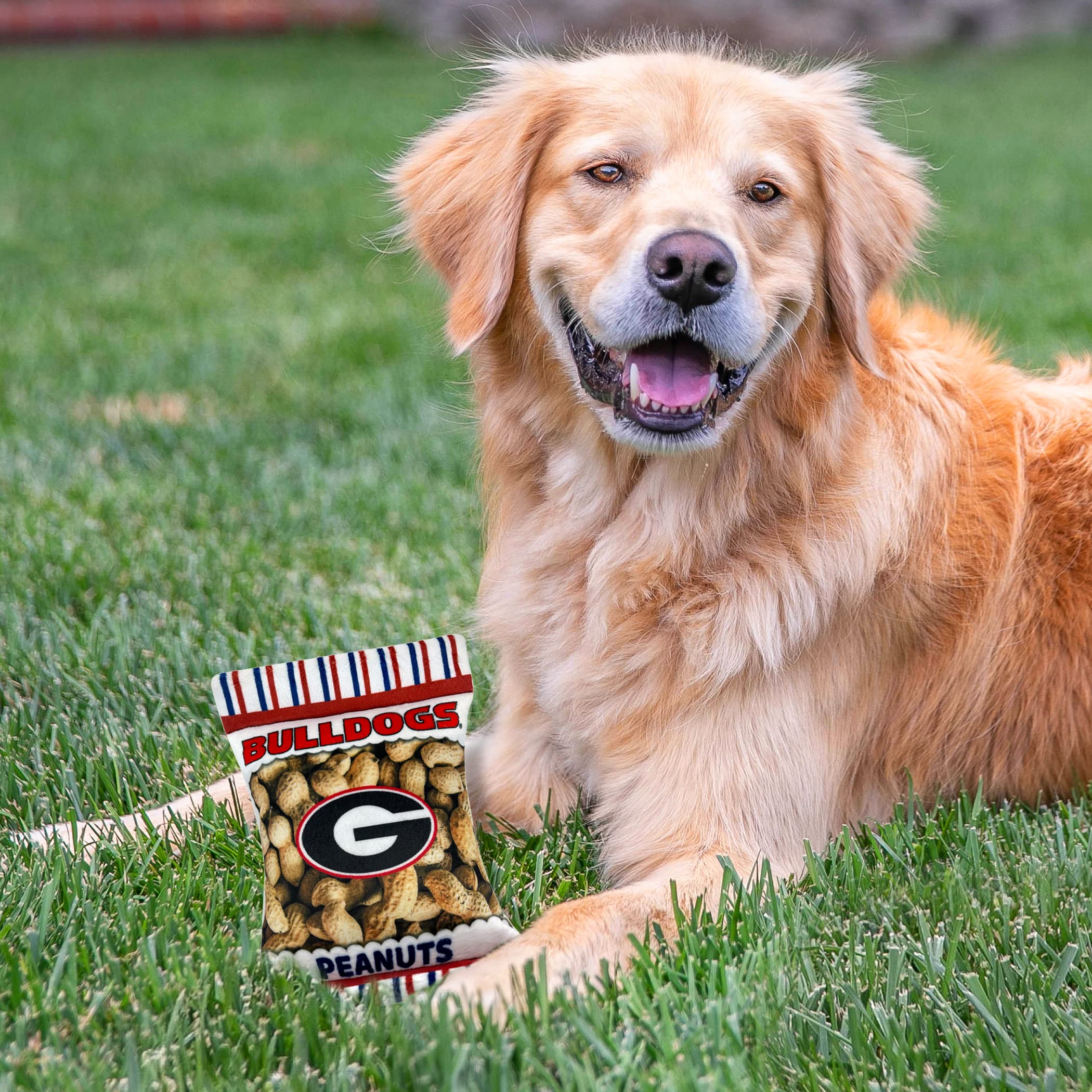 Pets First Ncaa Georgia Bulldogs Crinkle Fine Plush Dog & Cat Squeak Toy- Cutest Stadium Peanuts Snack Toy For Dogs & Cats With