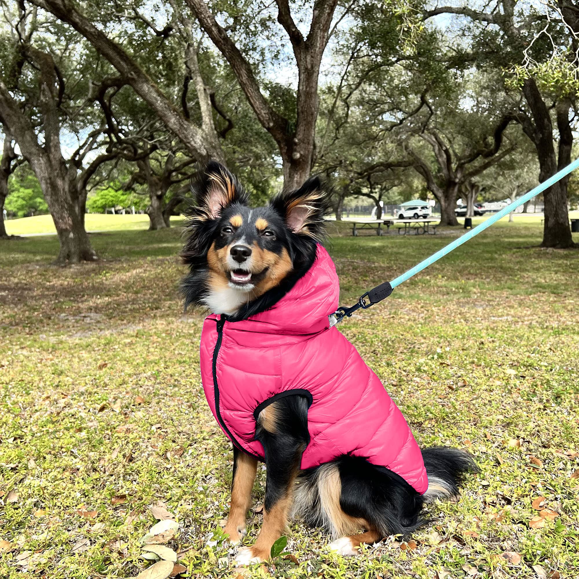 Pawtitas Reversible Dog Windproof Jacket | Water Resistant | Dog Coat For Winter To Keep Your Puppy Warm For Cold Weather Jacket