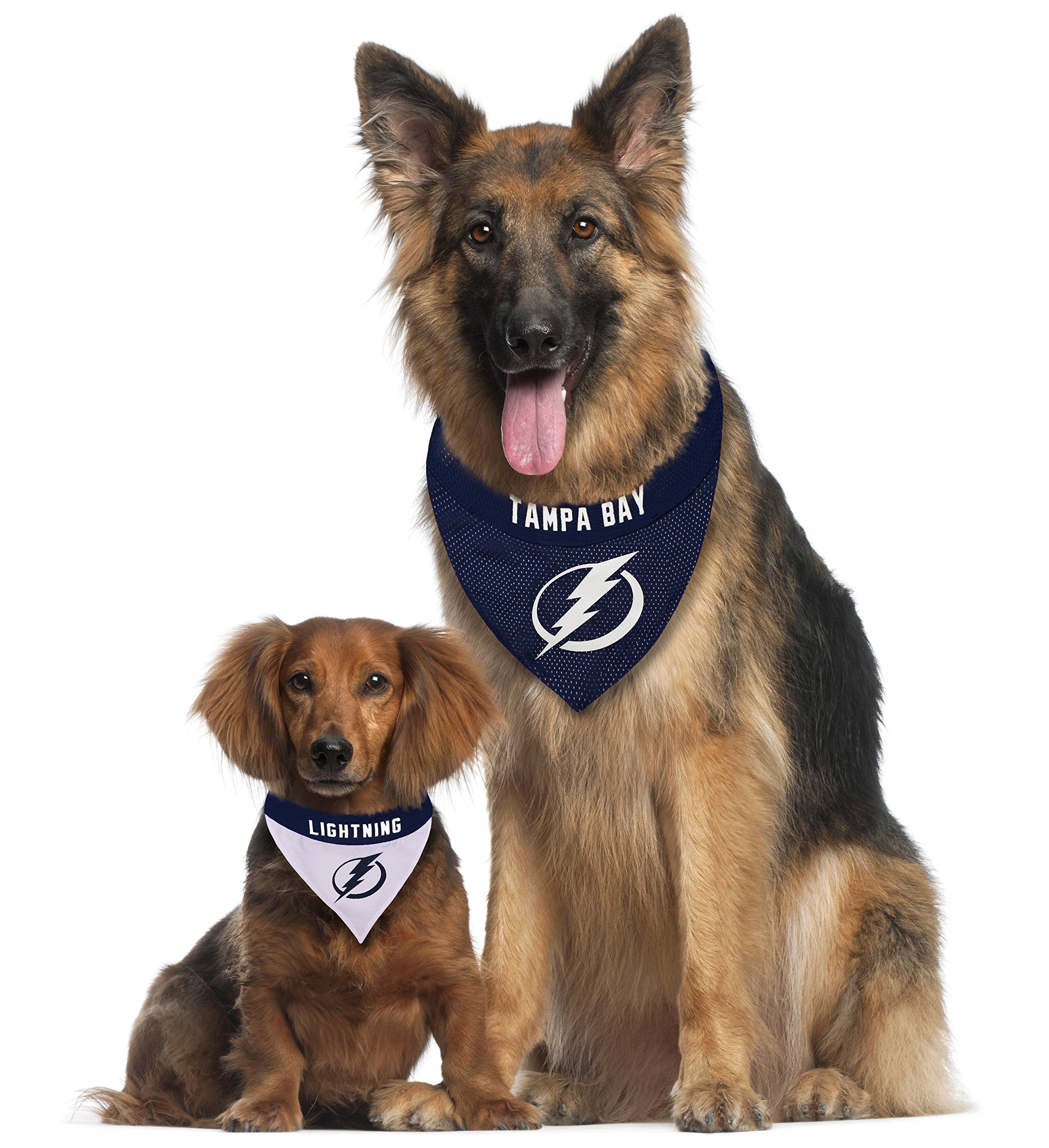 NHL TAMPA BAY LIGHTNING BANDANA for DOGS & CATS, Small/Medium. - Cute & Stylish Bandana! The Perfect HOCKEY FAN Scarf Bandana, g