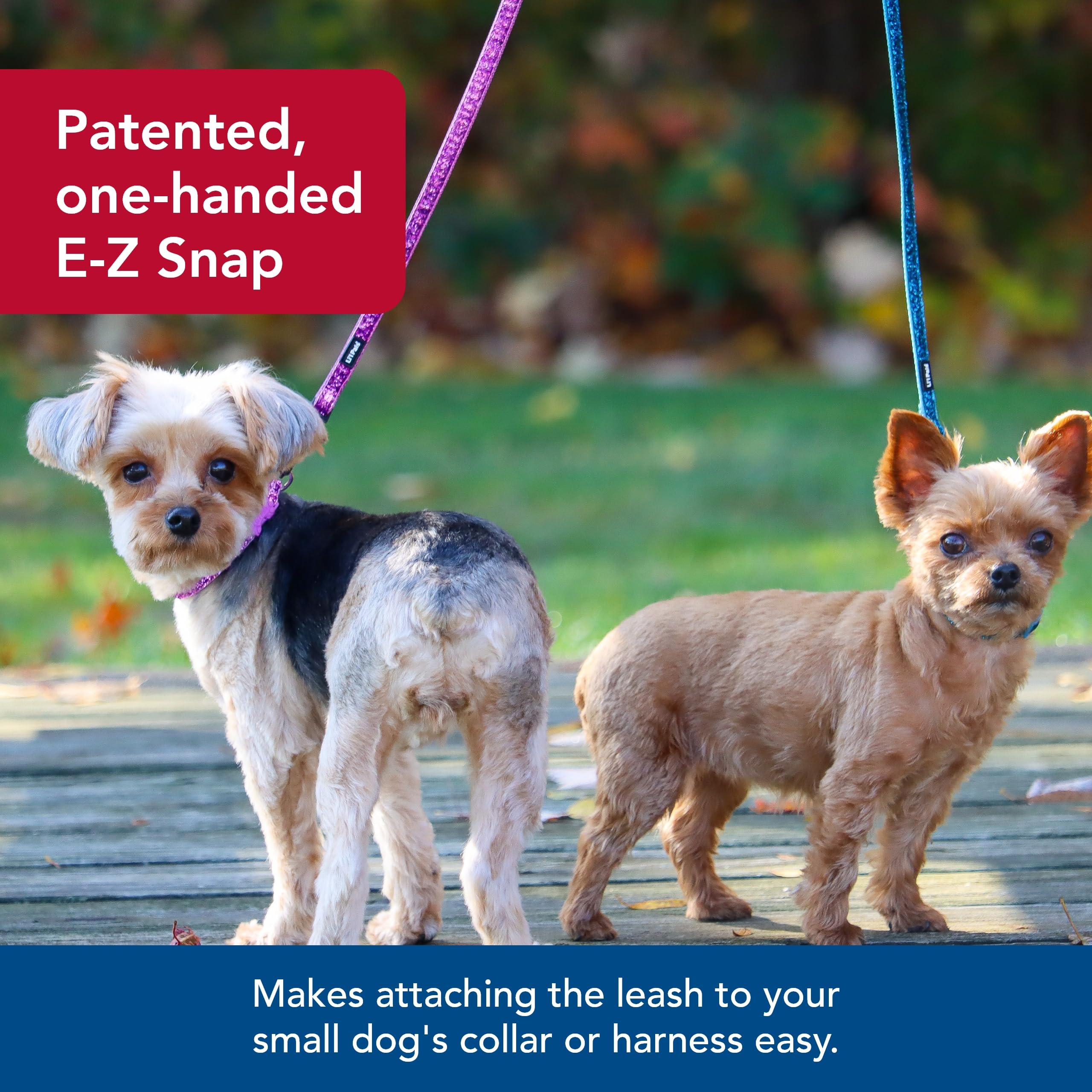 Coastal Pet Li'l Pals Dog Leash with Glitter Overlay - For Walking Small Pets - Ensures Comfortable Stroll - Lightweight Leash w
