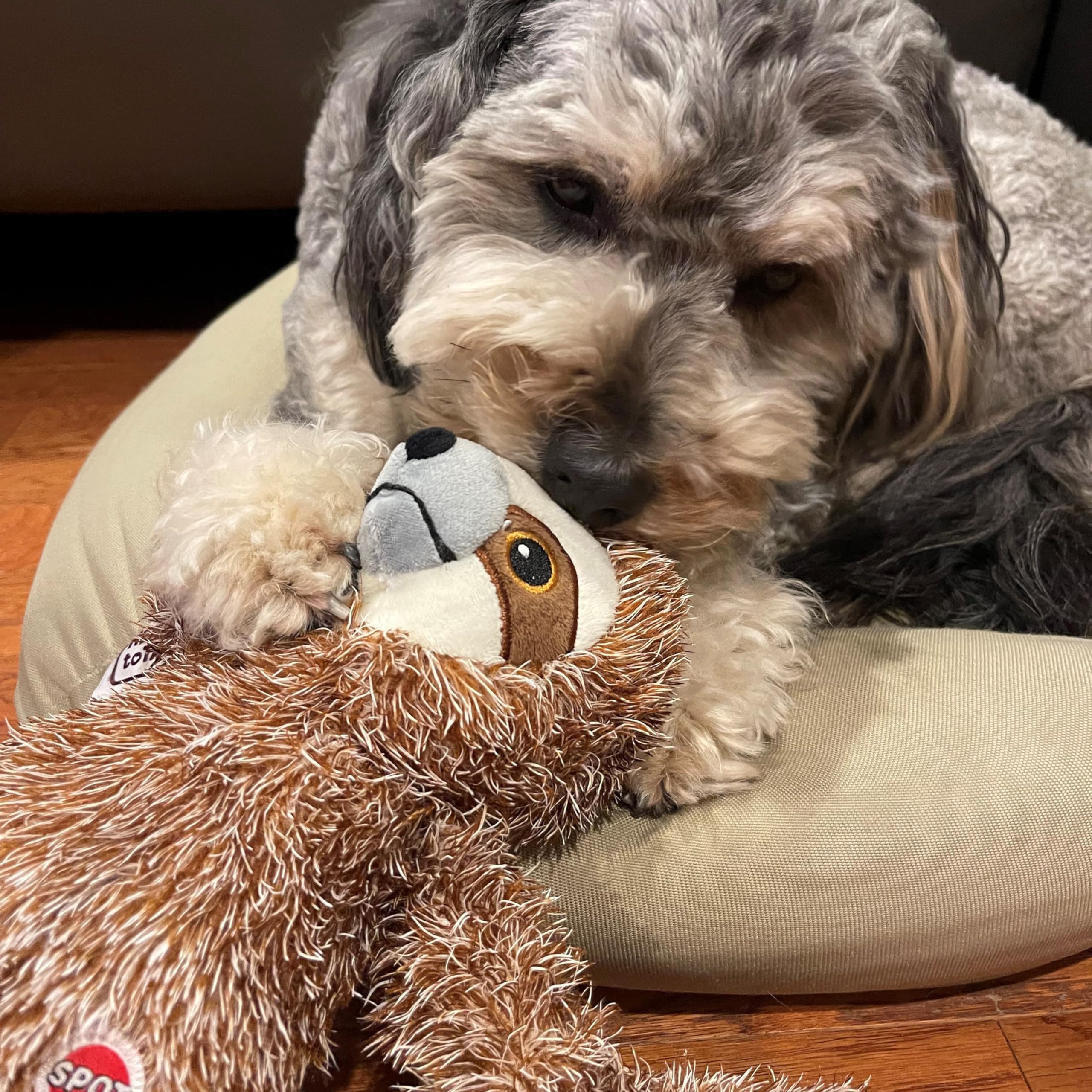 Spot Fun Sloth Dog Toy - Soft, Stuffed, Squeaky, Plush Fabric Toy For Medium And Large Dogs And Puppies, Enrichment For Light Chewers And Cuddlers, 13In