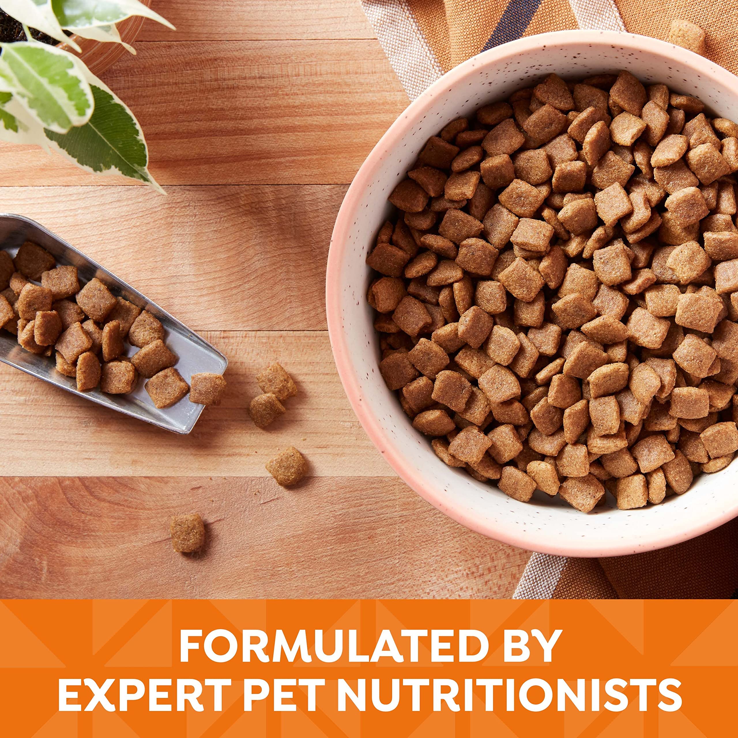 NatureS Recipe Grain Free Chicken, Sweet Potato & Pumpkin Recipe Dry Dog Food, 4 Lb. Bag