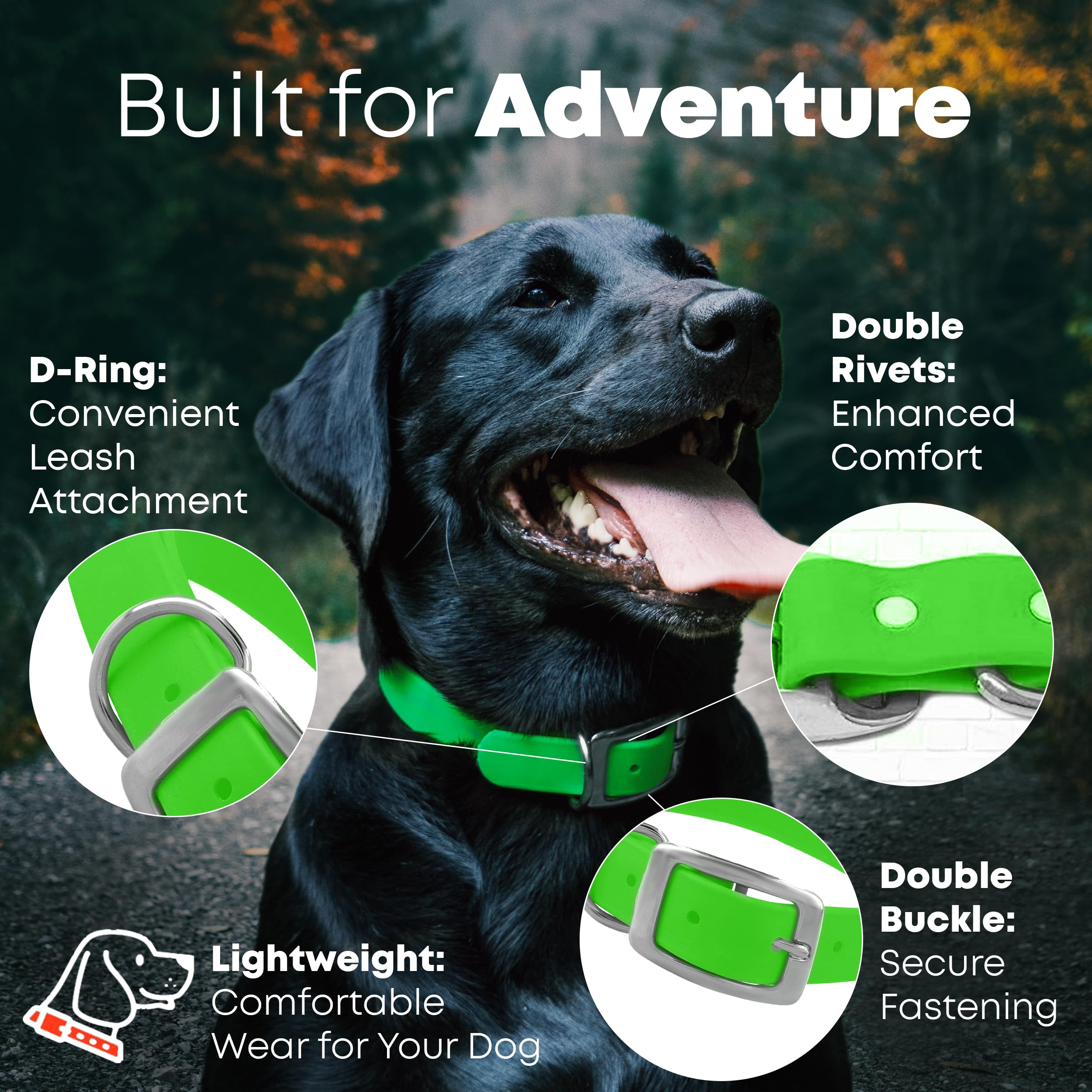 Regal Dog Products Small Light Green Waterproof Dog Collar And Leash Set - Vinyl Coated Biothane Puppy Pet Training Collar With