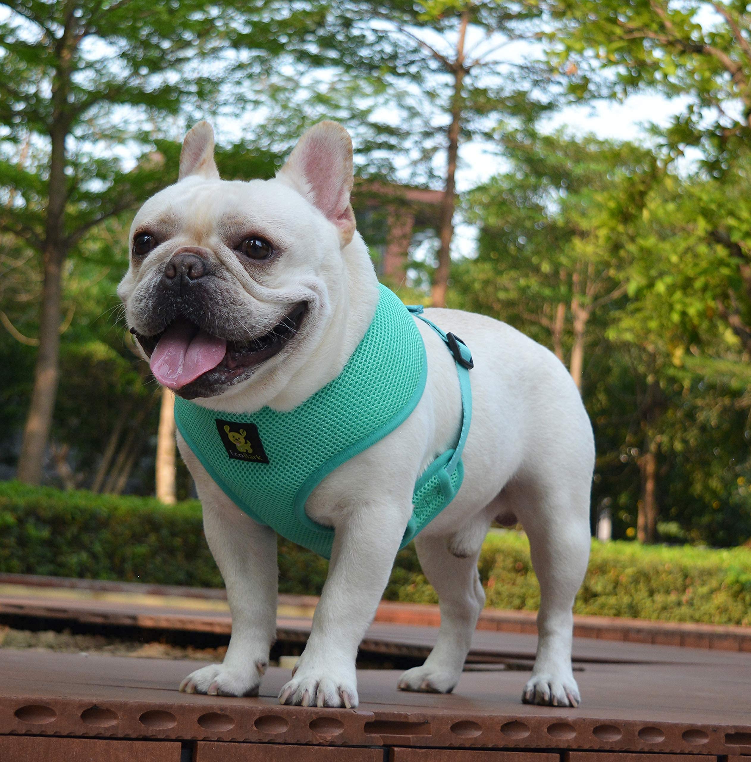 Ecobark Dog Harness - Eco-Friendly Max Comfort Harnesses - Luxurious Soft Mesh Halter - Over The Head Harness Vest- No Pull And No Choke For Large, Xl, And Xxl Dogs (Xl, Mint Turquoise)