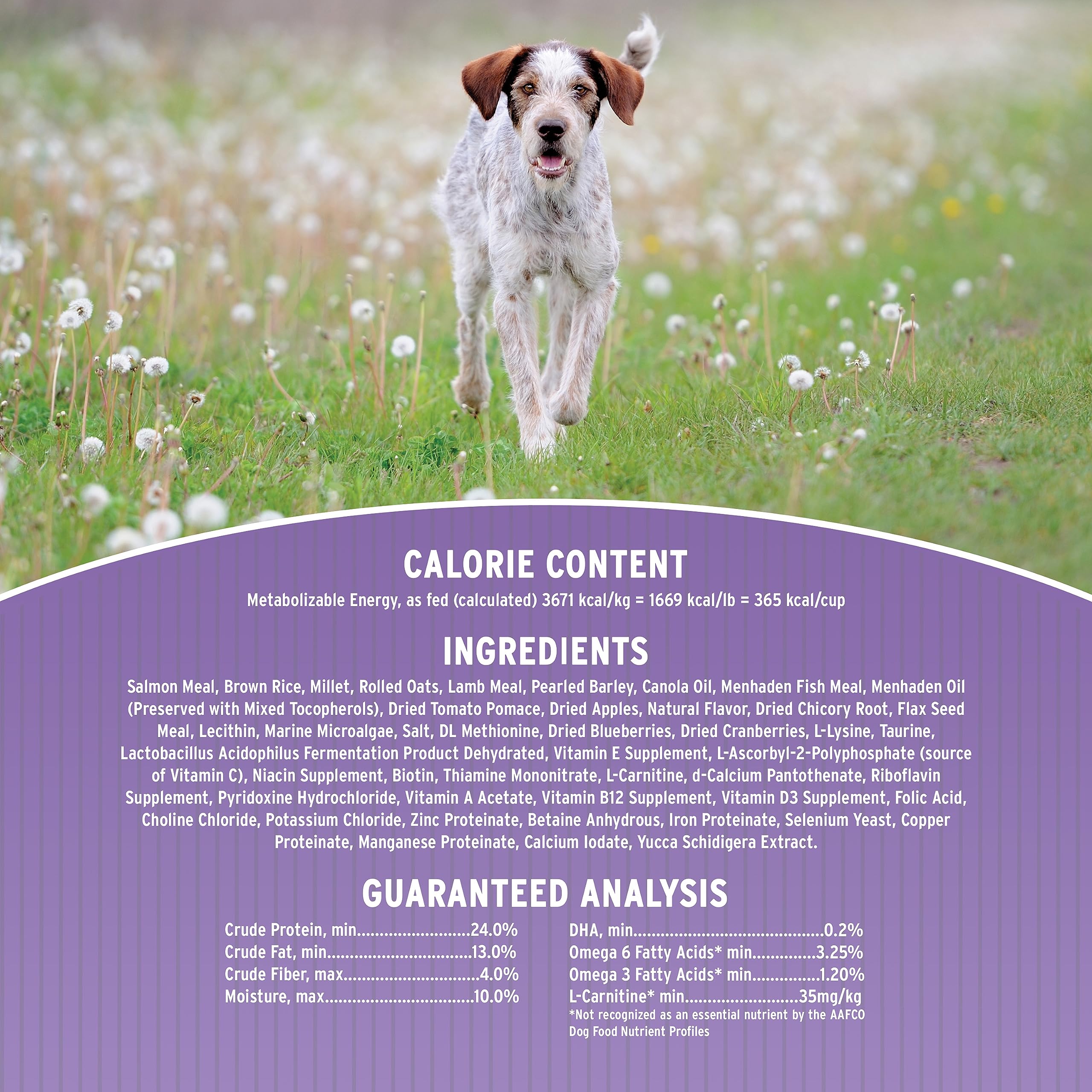 Annamaet Original Option Formula Dry Dog Food, 24% Protein (Salmon & Brown Rice), 25-lb Bag