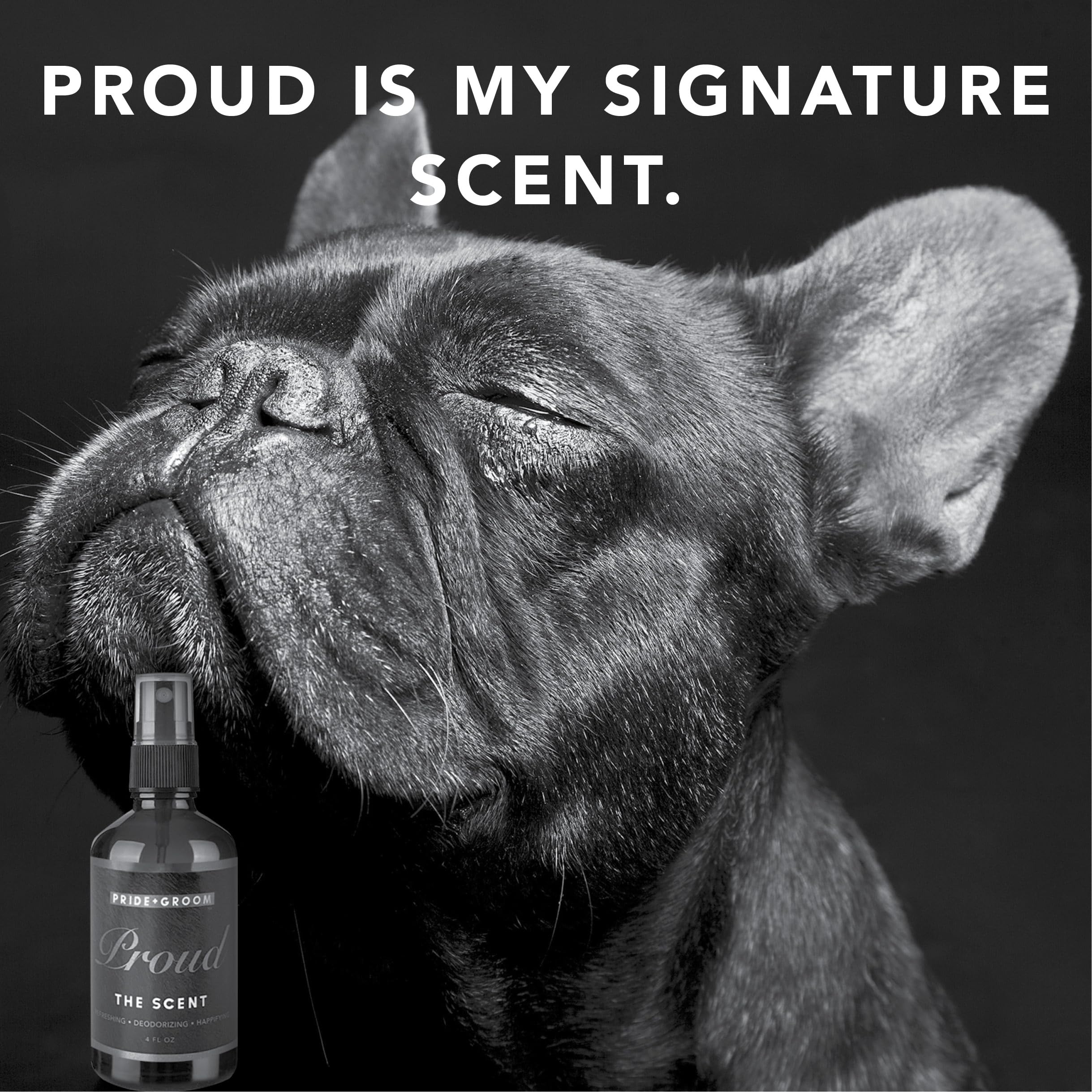 Pride And Groom Proud - Luxurious Dog Grooming Spray & Pet Deodorizer With Uniquely Uplifting, Fresh And Clean Signature Scent T