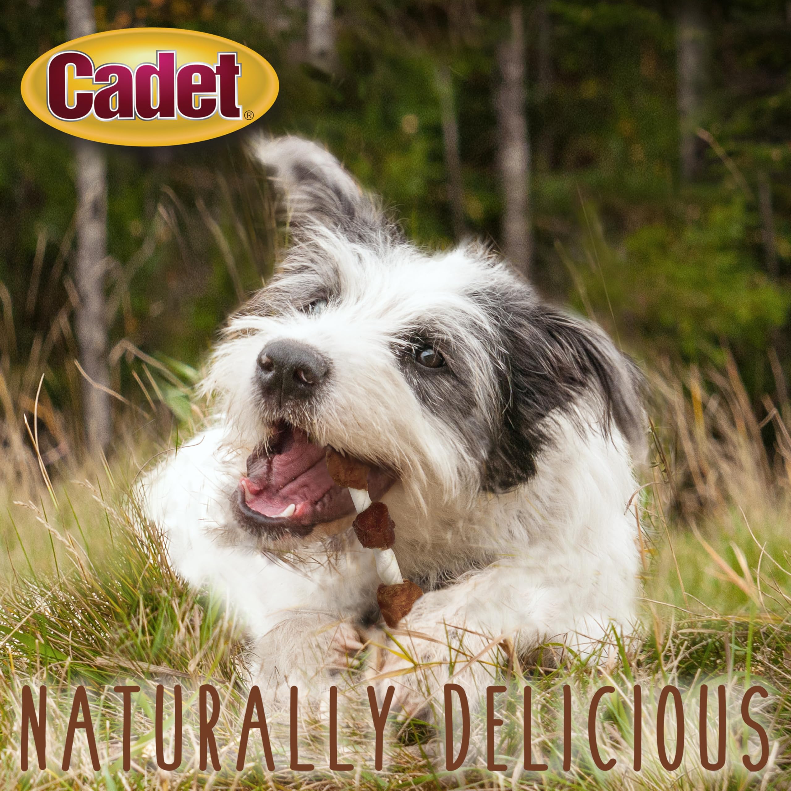 Cadet Gourmet Shish Kabob Dog Treats for Small Dogs, Healthy & Natural Chicken, Duck, & Sweet Potato Chew Sticks, Beef Hide, Sma