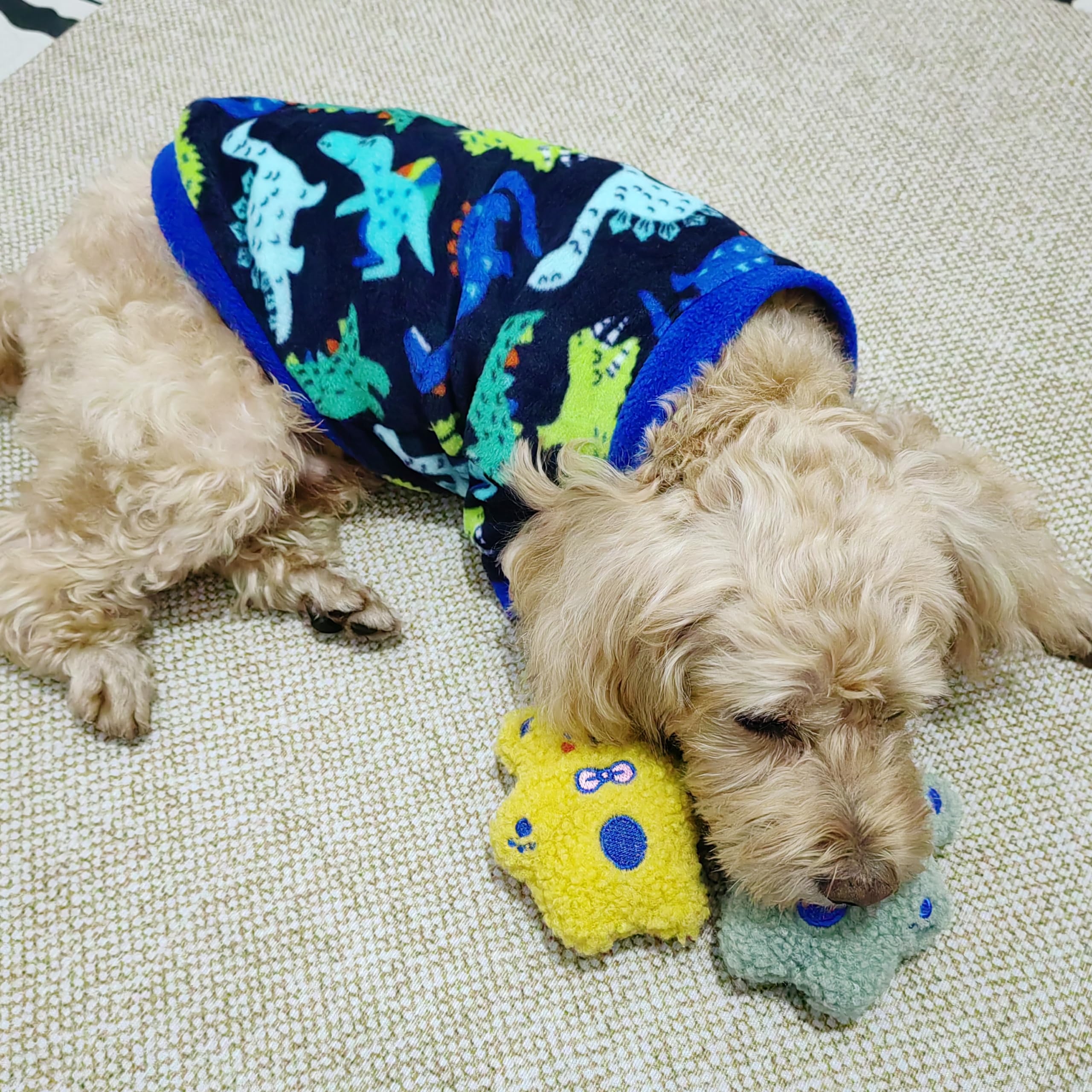 Cat Sweater Star/Dino Dog Sweater Warm Fleece Winter Pullover Holiday Sweaters For Small Dogs For Cats Only Knitwear