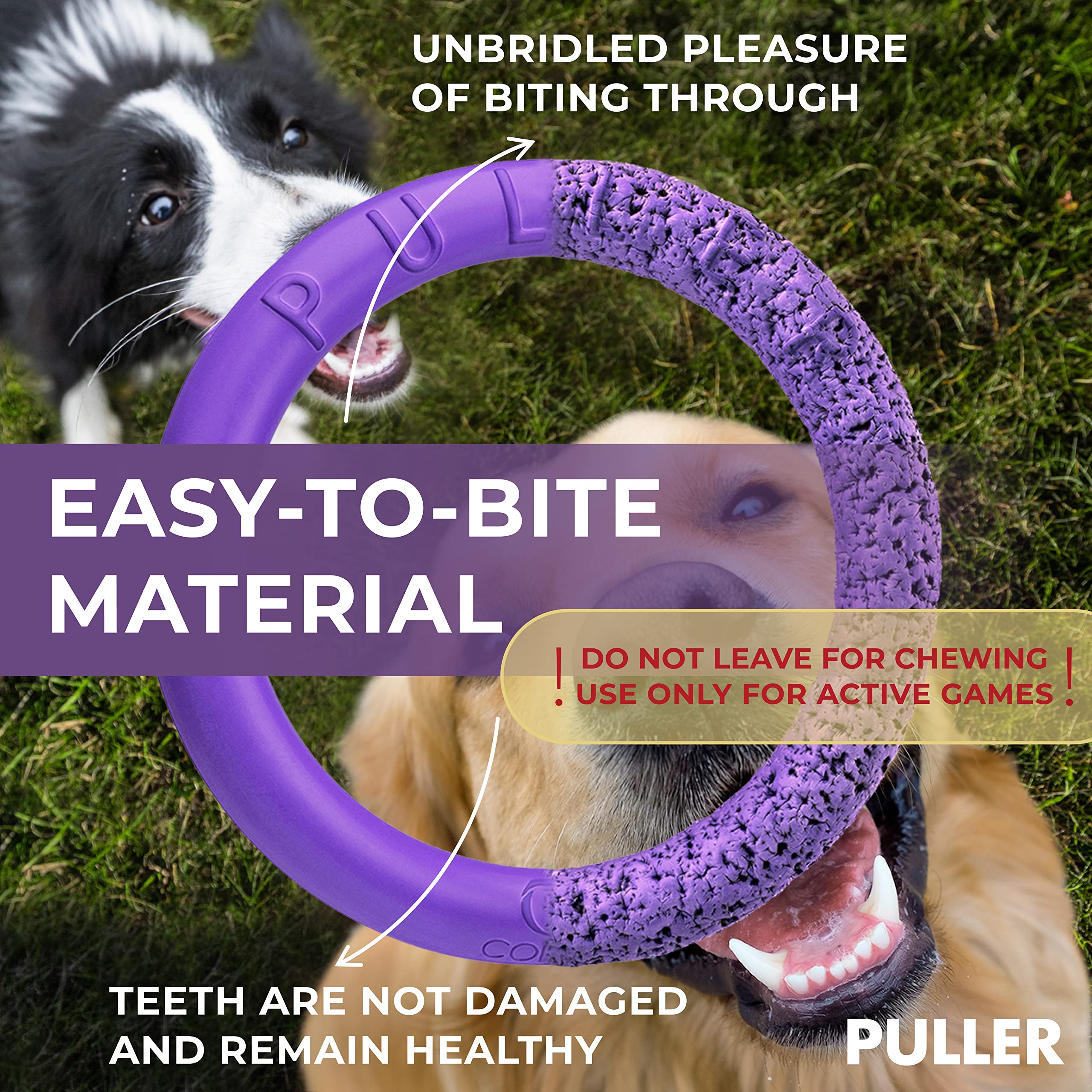 COLLAR Puller Outdoor Dog Ring Toy - Tug of War & Fetch for Small to Large Dogs - Purple, MIDI Size, Polymer Foam