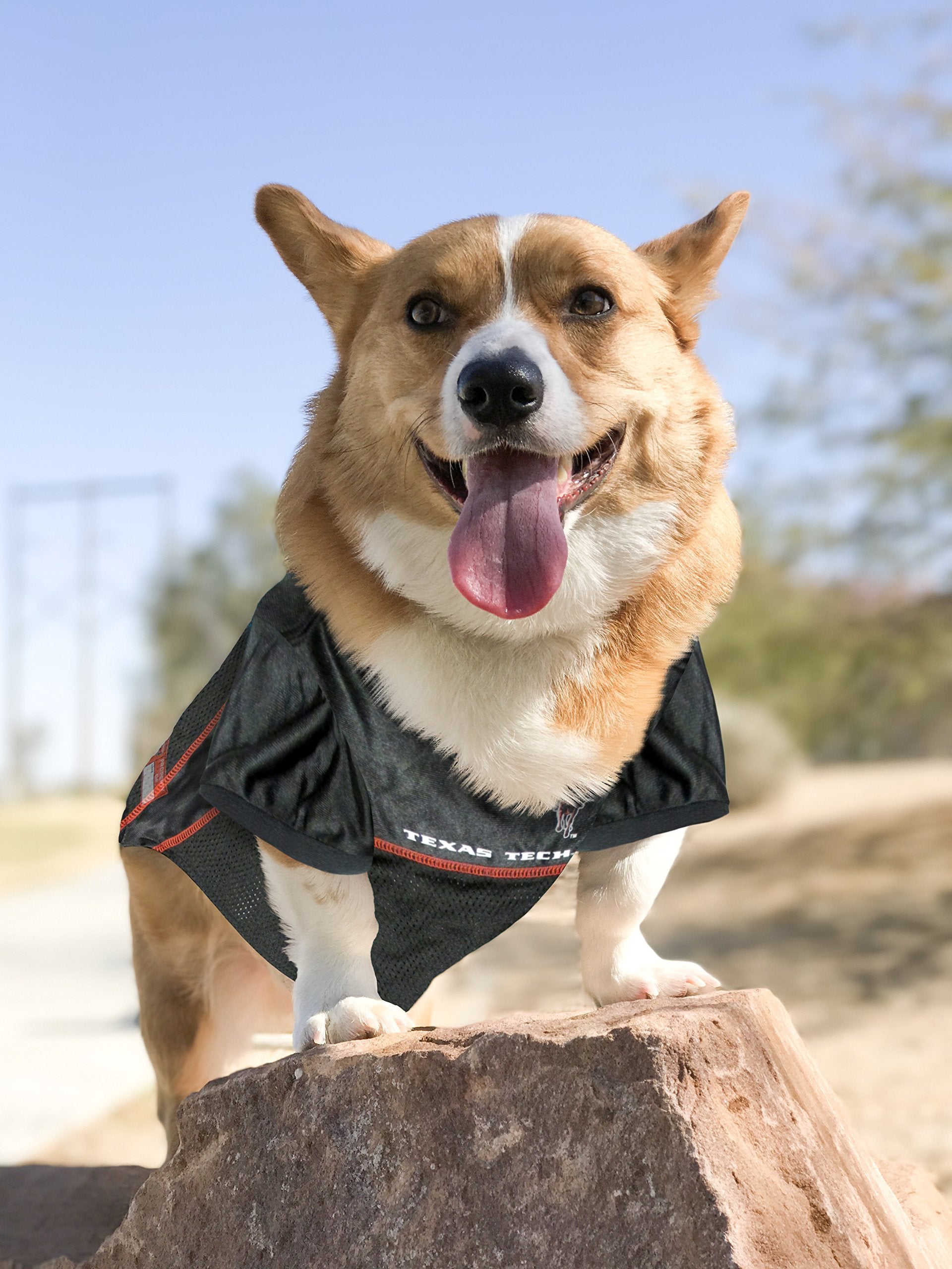 Pets First NCAA College Texas Tech Red Raiders Mesh Jersey for DOGS & CATS, Large. Licensed Dog Jersey with your Favorite Footba