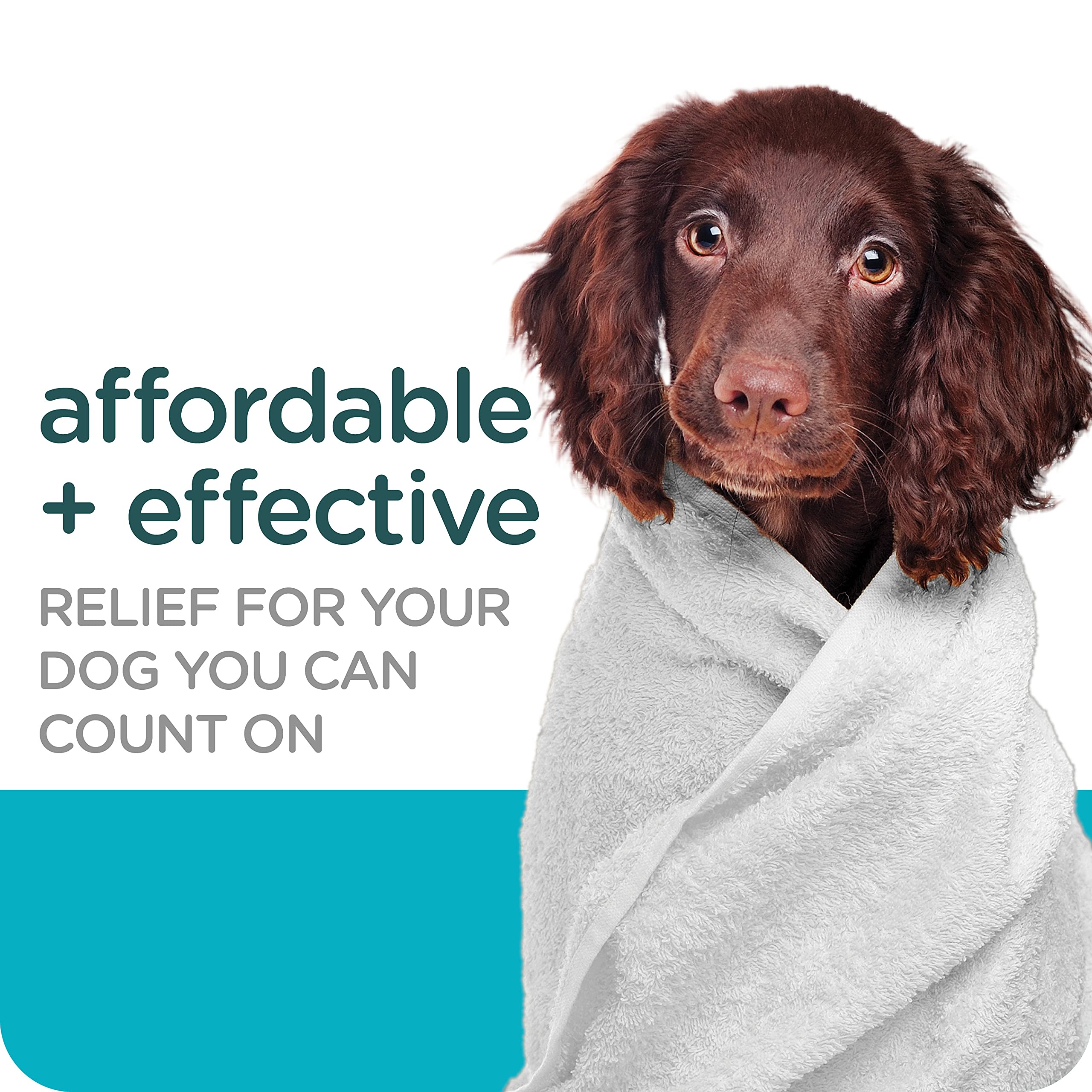 Sergeant'S Guardian Flea & Tick Dog Shampoo, Clean Cotton Scent, 18 Oz.