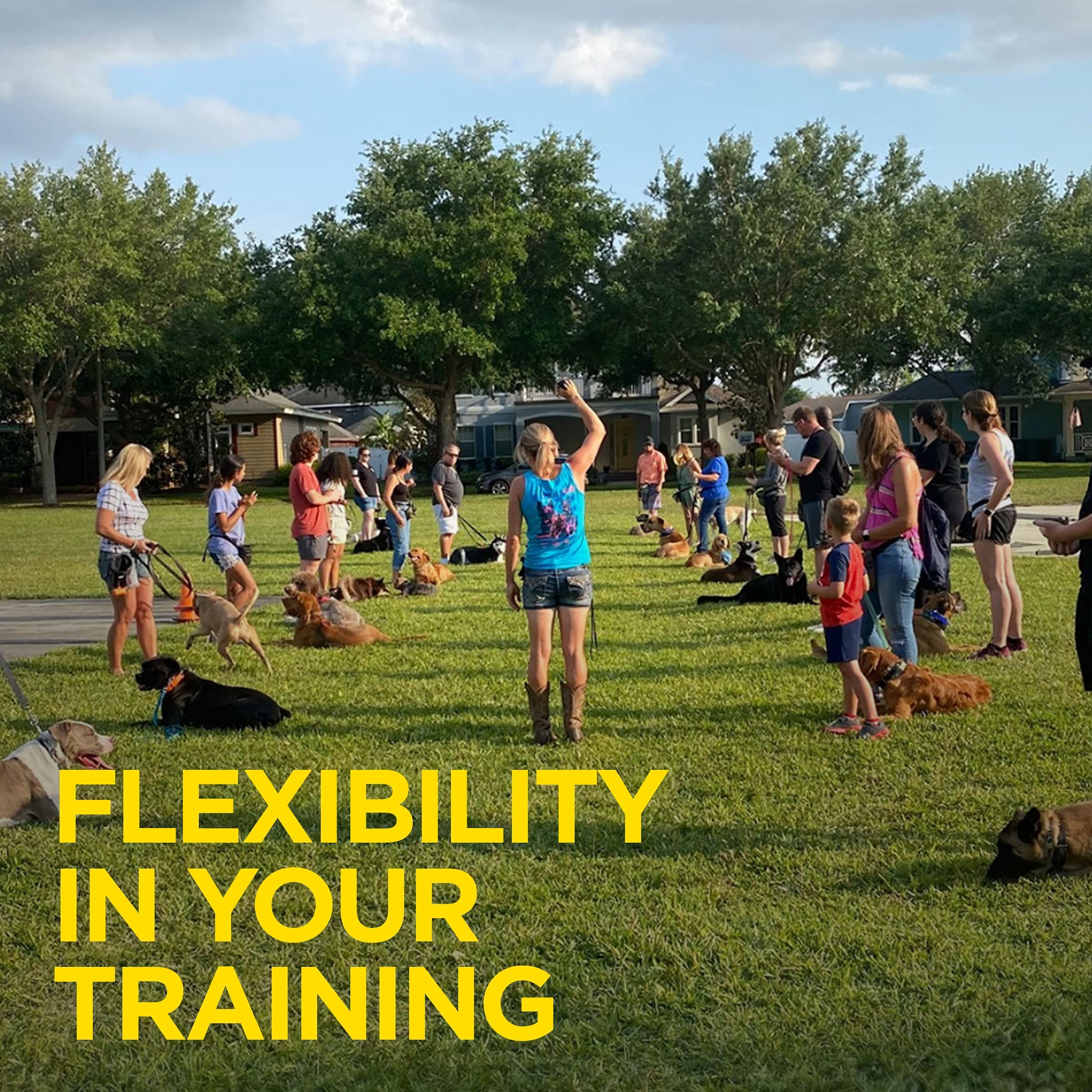 Dogtra ARC HANDSFREE Plus 2-Dog Remote Training E-Collar, Rechargeable, Waterproof, 3/4-Mile Range, Clear, Ergonomic Design