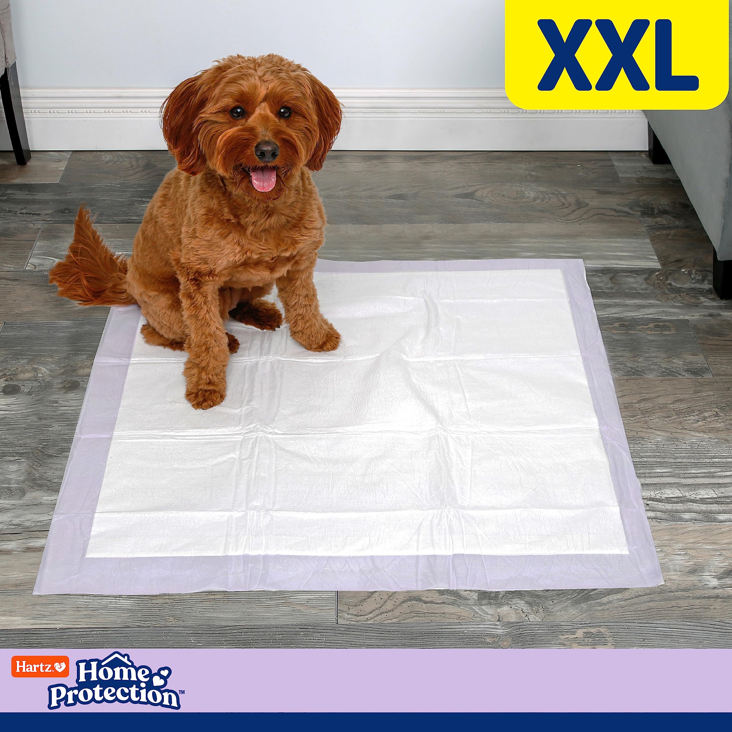 Hartz Home Protection Lavender Scent Odor Eliminating Gel Dog Pads, 30' X 30', 20 Count