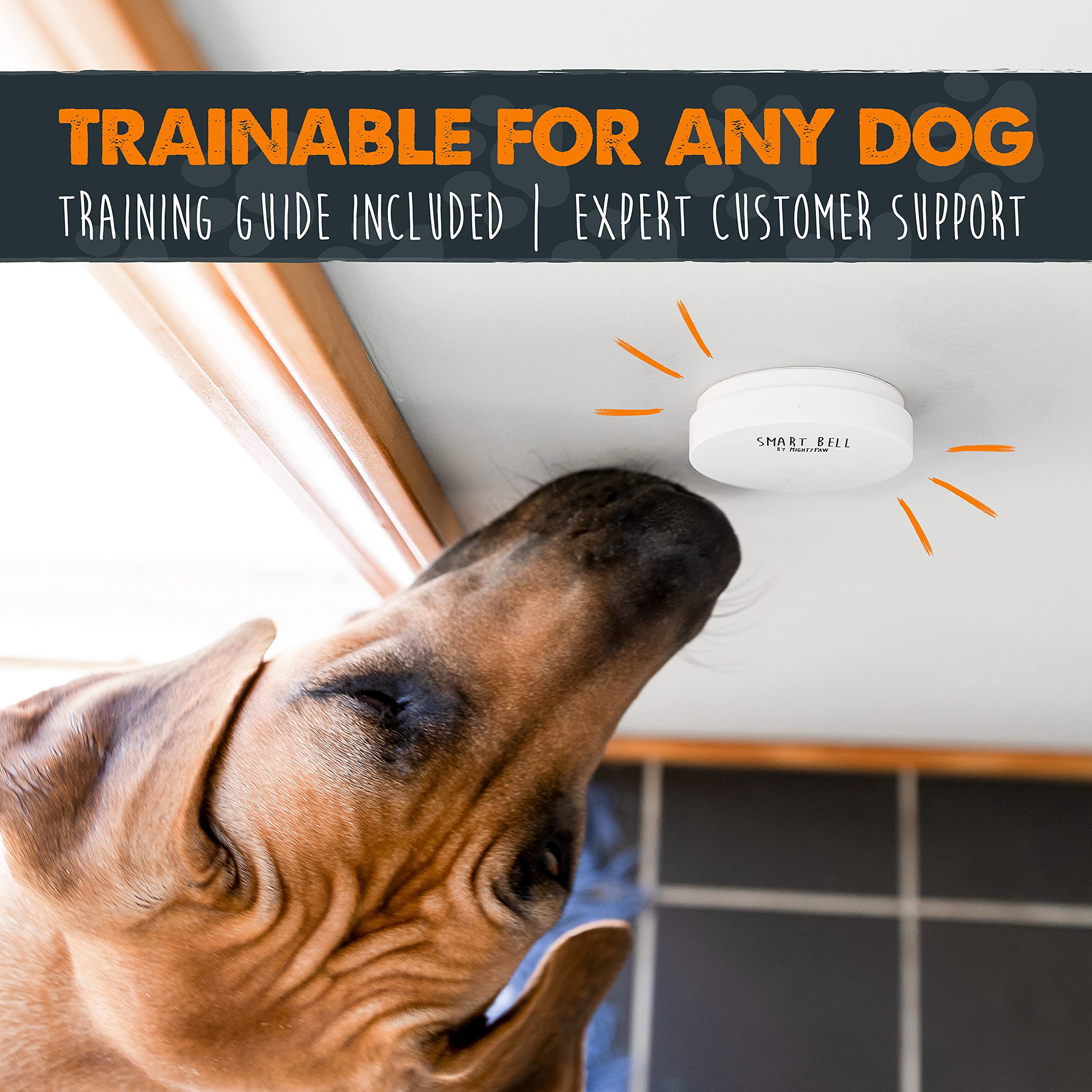 Mighty Paw Smart Dog Bell 2.0 | Wireless Dog Door Bell For Potty Training - Potty Training Bell For Puppies For Door - Door Bells For Dogs To Ring To Go Outside - Electronic Door Bell Dog Button