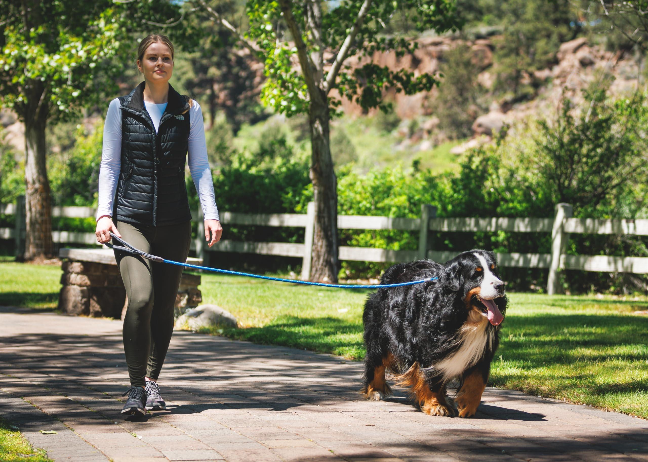 Ruffwear, Just-A-Cinch Dog Leash, 2-In-1 Lead Collar Combination, Slip Lead, Moss Green