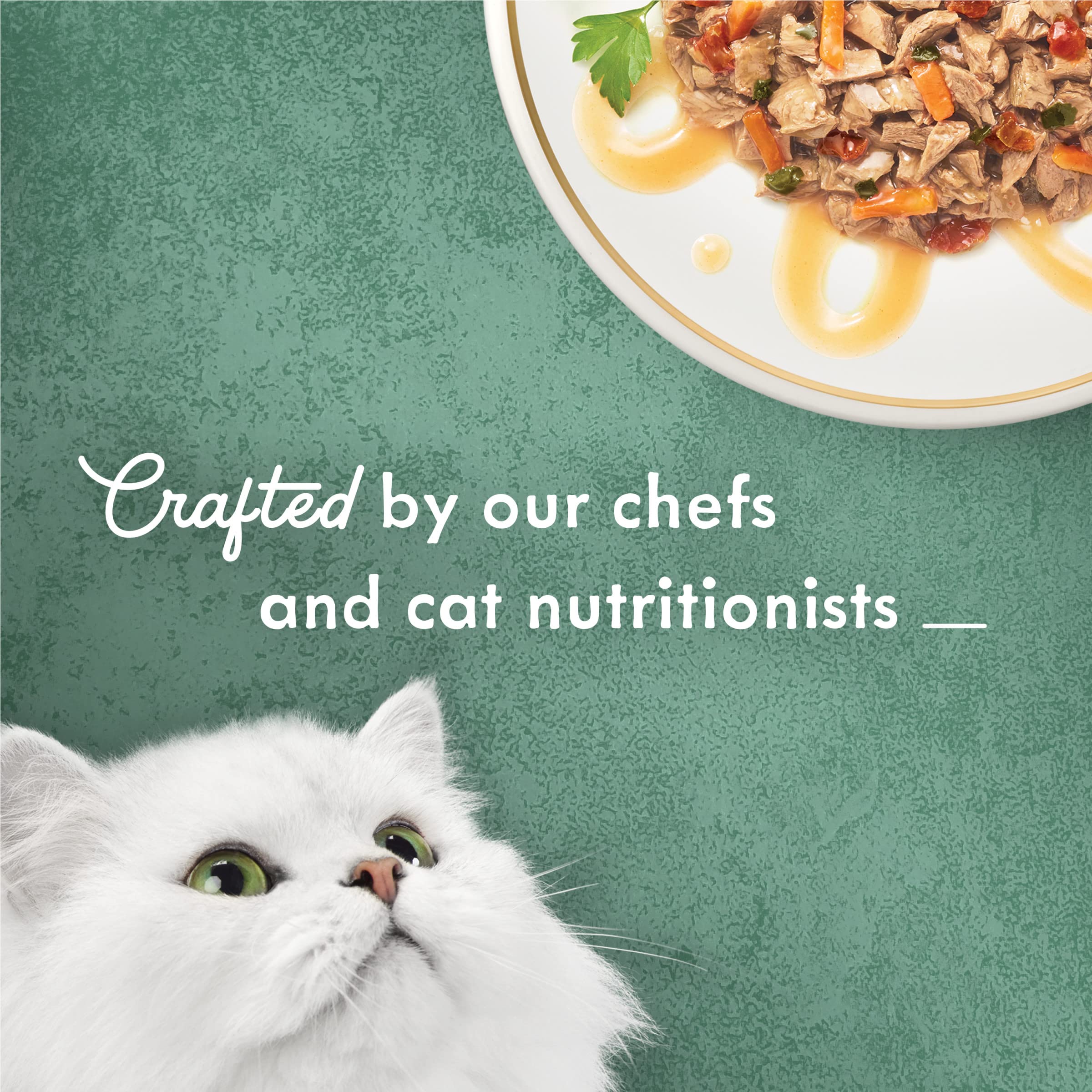 Purina Fancy Feast Wet Cat Food Medleys Wild Salmon Primavera With Tomatoes Carrots and Spinach in Silky Broth - (Pack of 24) 3