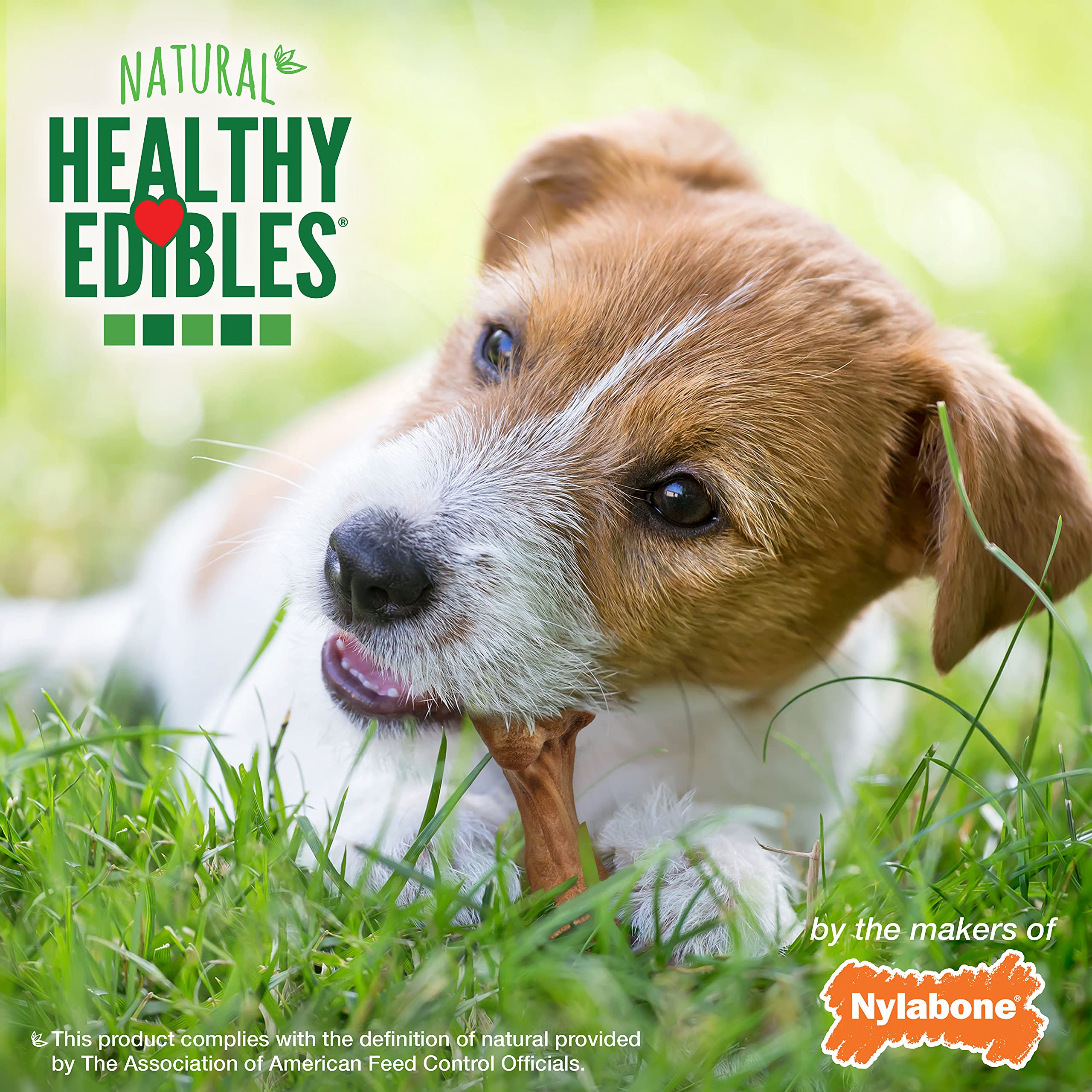 Nylabone Healthy Edibles WILD Natural Long-Lasting Dog Treats - Dog Bone Treats - Bison Flavor, Small (16 Count)