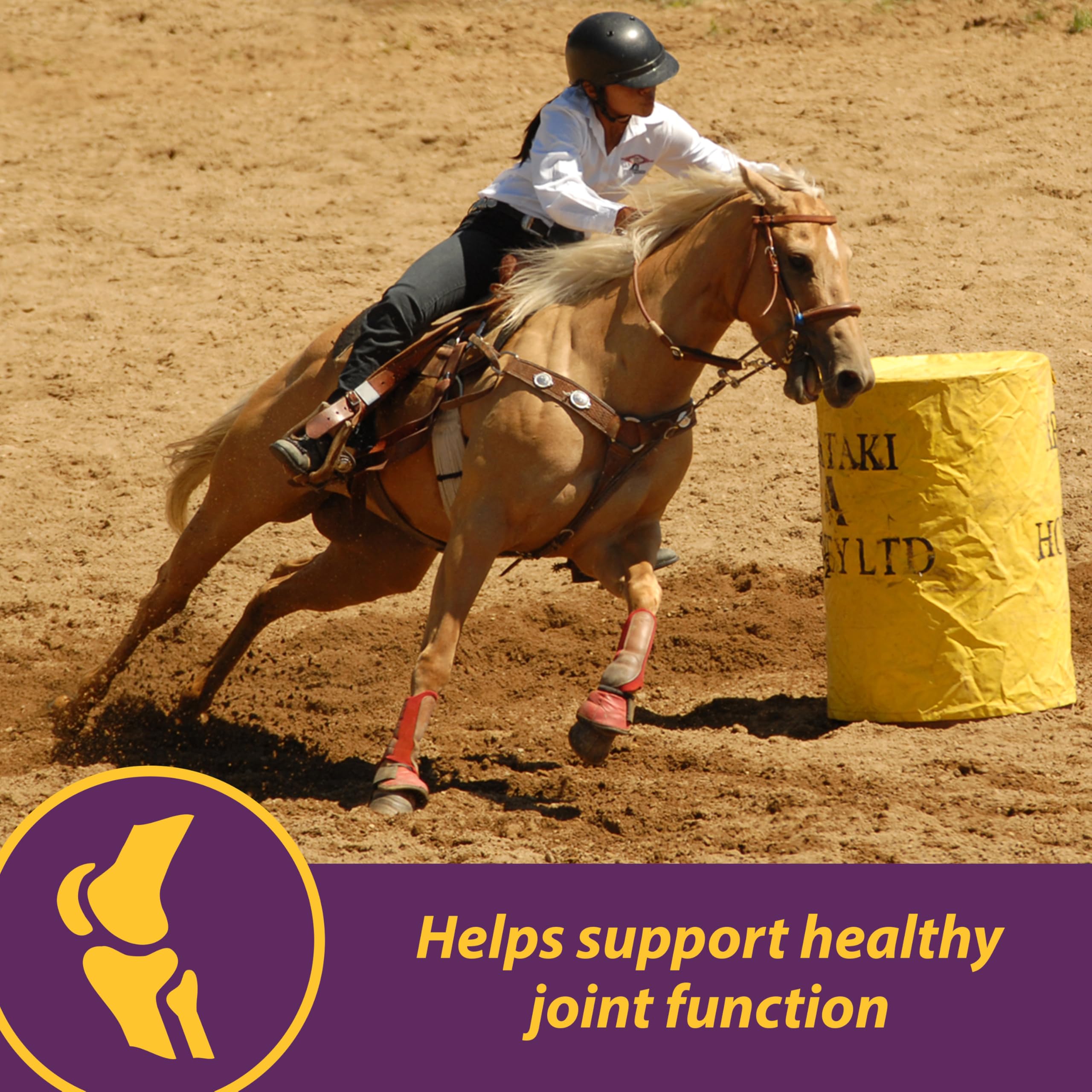 Horse Health Joint Combo Classic, An Unbeatable Joint Combination Supplement for Horses, Cinnamon Apple 8 Pounds