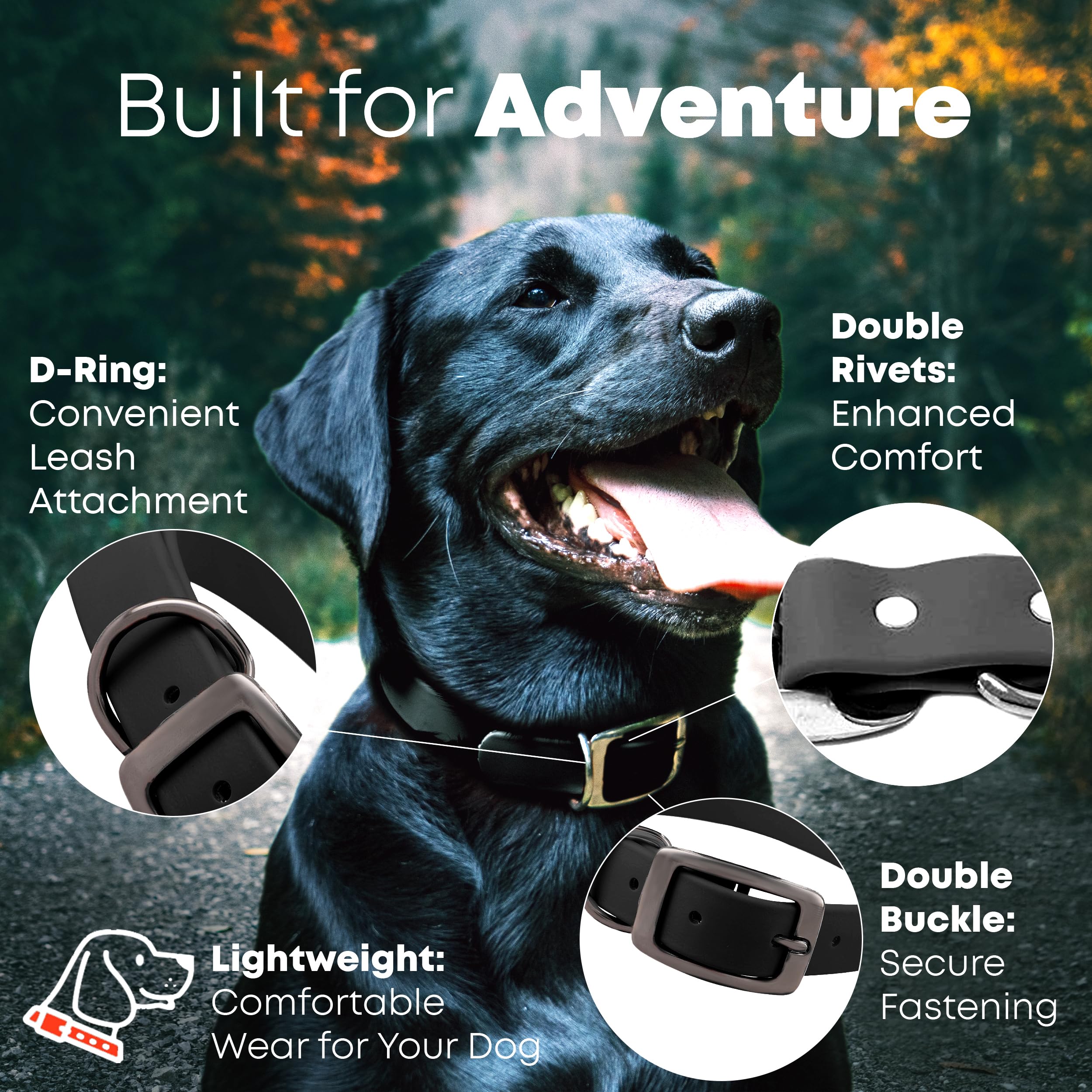 Regal Dog Products Small Black Waterproof Dog Collar and Leash Set | Heavy Duty Double Buckle & D Ring - 5'ft Leash | Adjustable