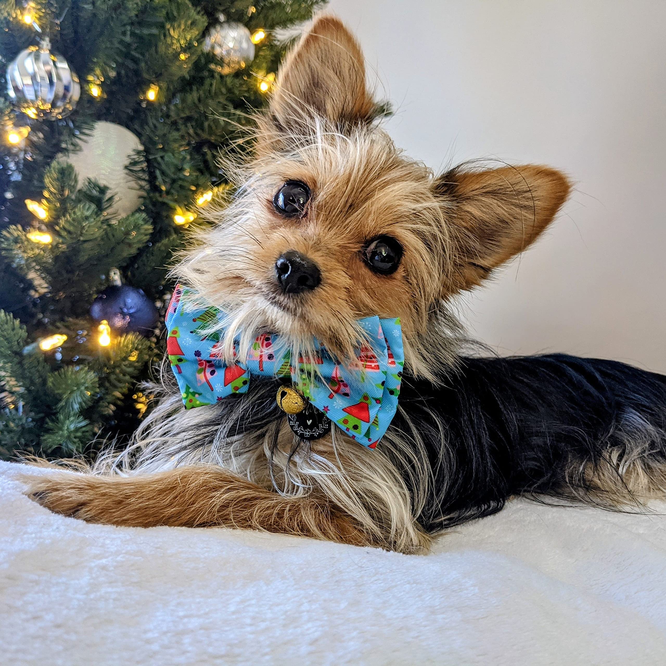 Huxley & Kent Cute & Comfortable Christmas Bow Tie Collar For Pets - Durable Small X-Mas Tree Bow For Dogs & Cats