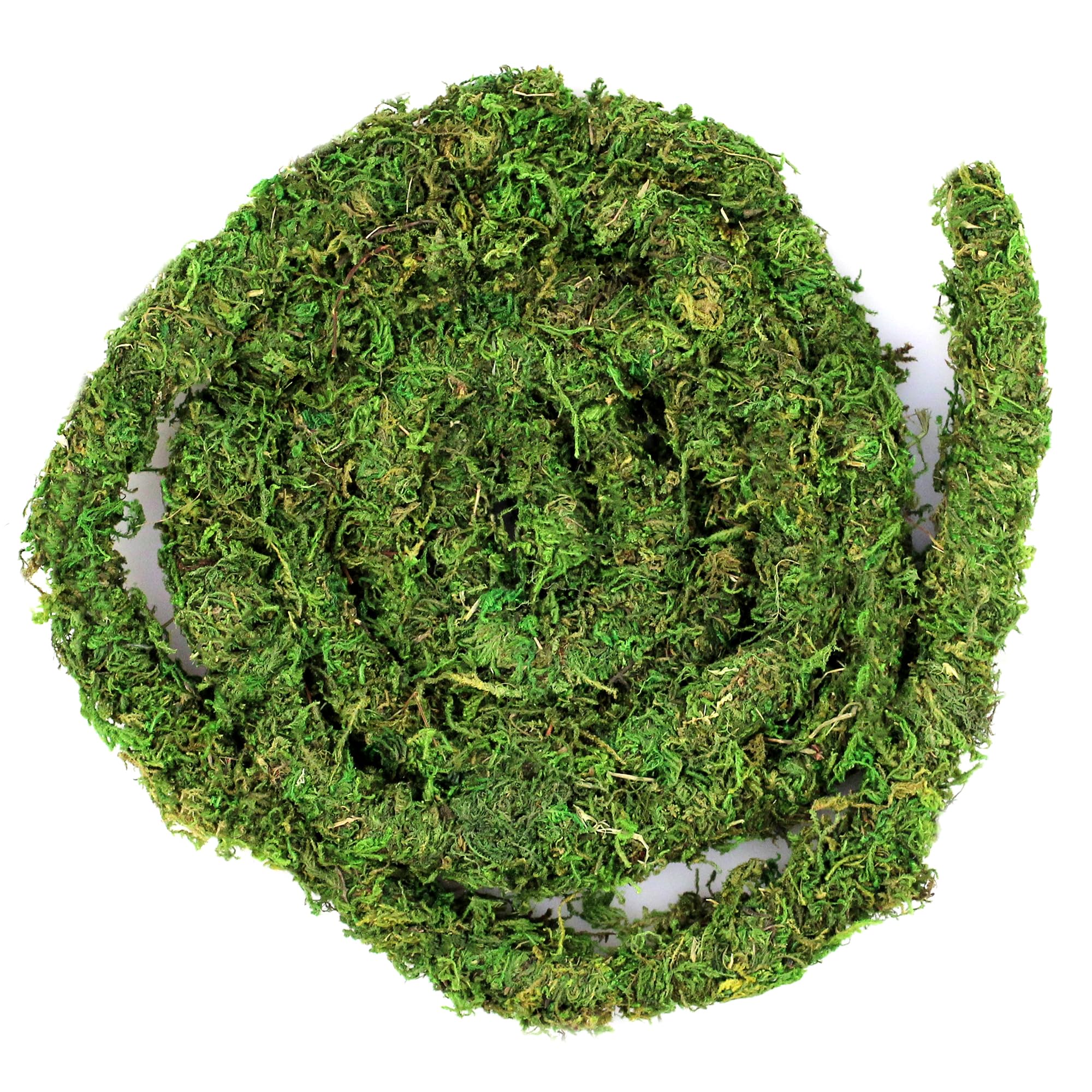 Supermoss Galápagos (05266) Mossvine, Real Moss Vine, 12Ft, Green
