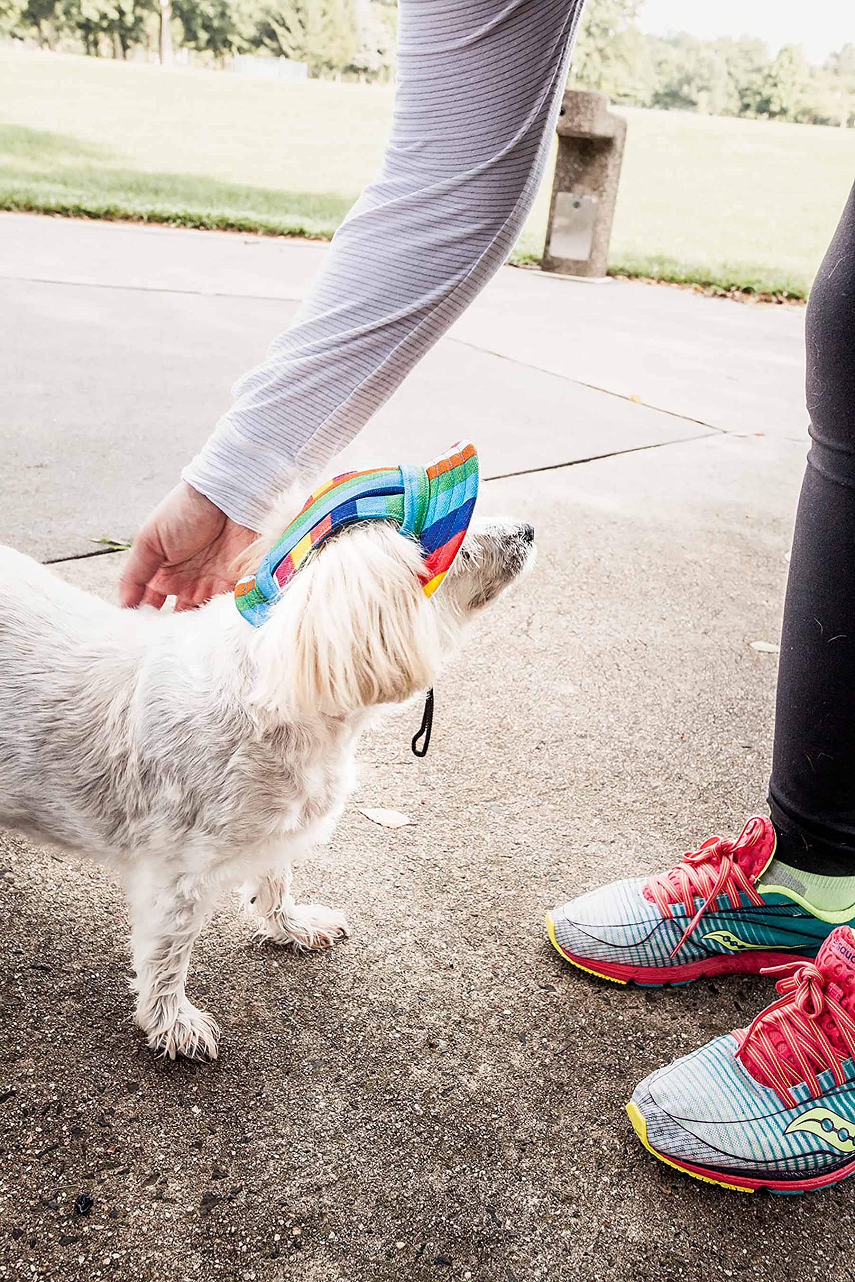 Pet Life ® Colorfur Rainbow Dog Hat With Uv Coverage Protection - Brimmed Canopy Provides More Shade Than A Dog Banadana - Features Ear Holes And Adjustable Jaw-Strings - Great Worn With Dog Clothes