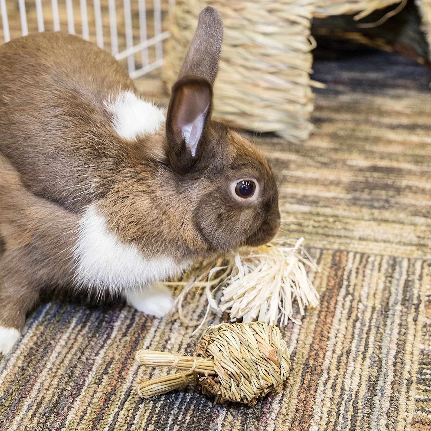 (3 Pack) Ware Manufacturing Natural Fun-E-Bunny Small Pet Chew Toys