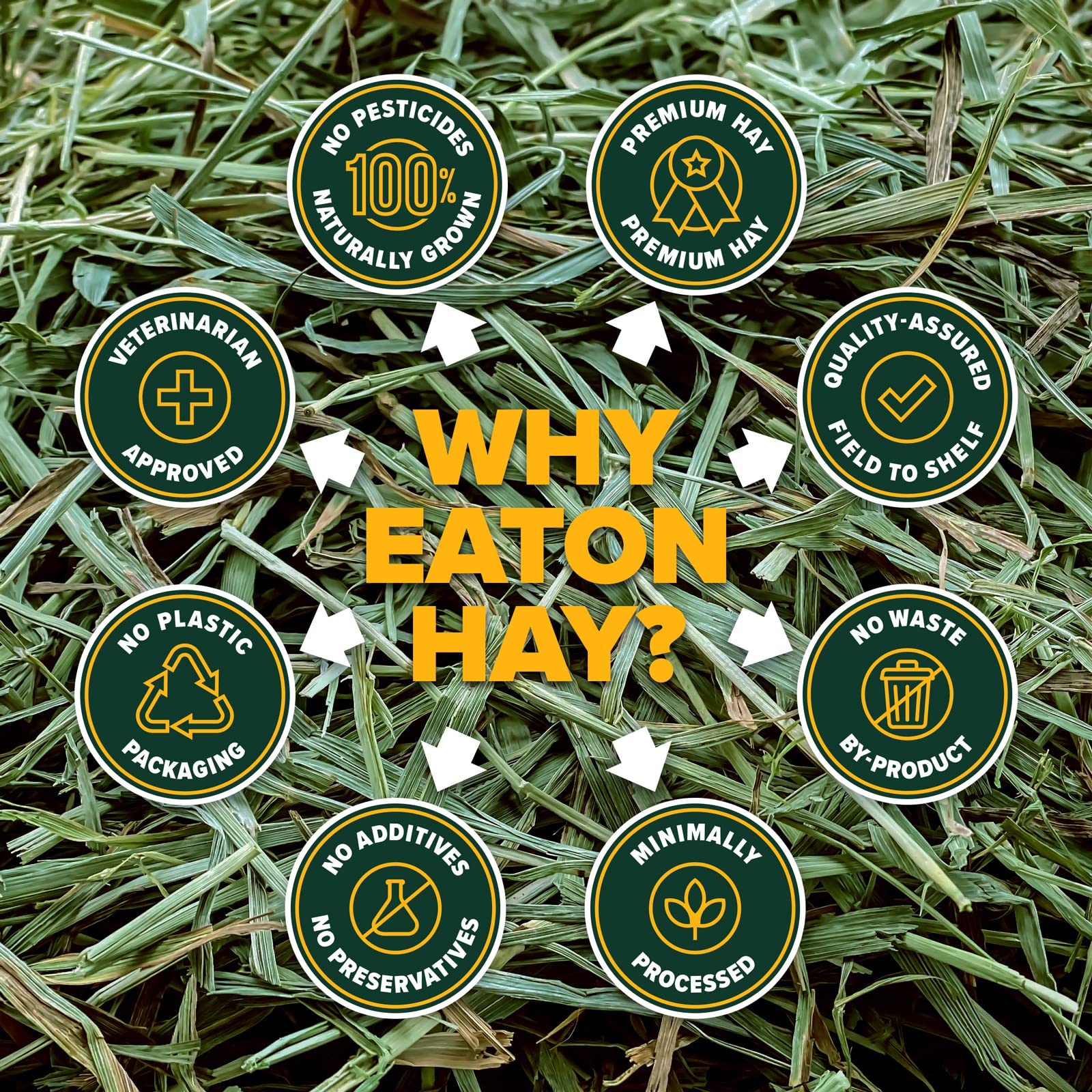 Eaton Pet and Pasture Naturally Grown, Premium, 1st Cut Blend, Western Timothy Hay Orchard Blend, Small Animal Food, Sustainable