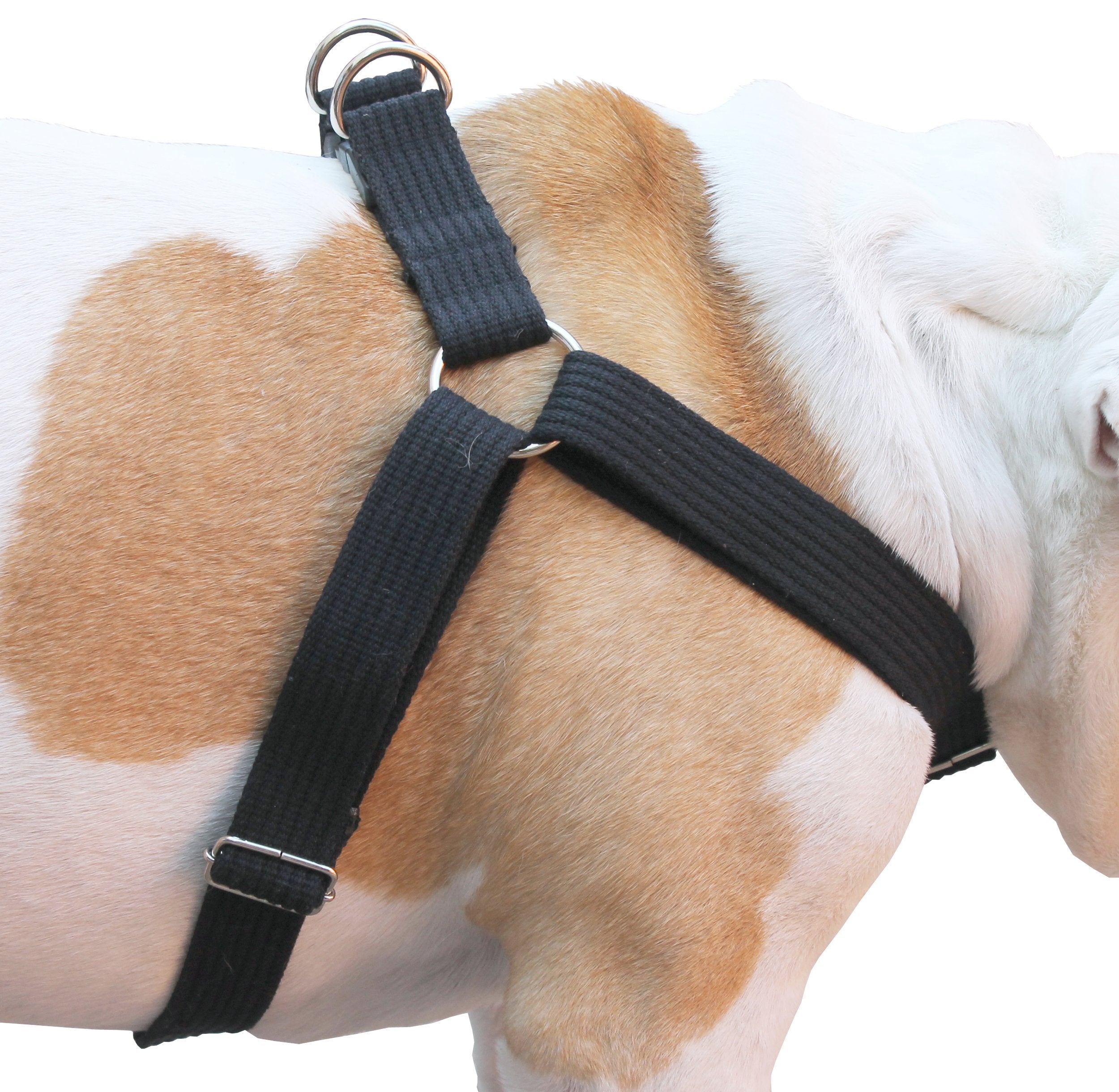 Cotton Web Adjustable Dog Step-In Harness 4 Sizes Black (Xlarge: 21'-37' Chest; 1.2' Wide)
