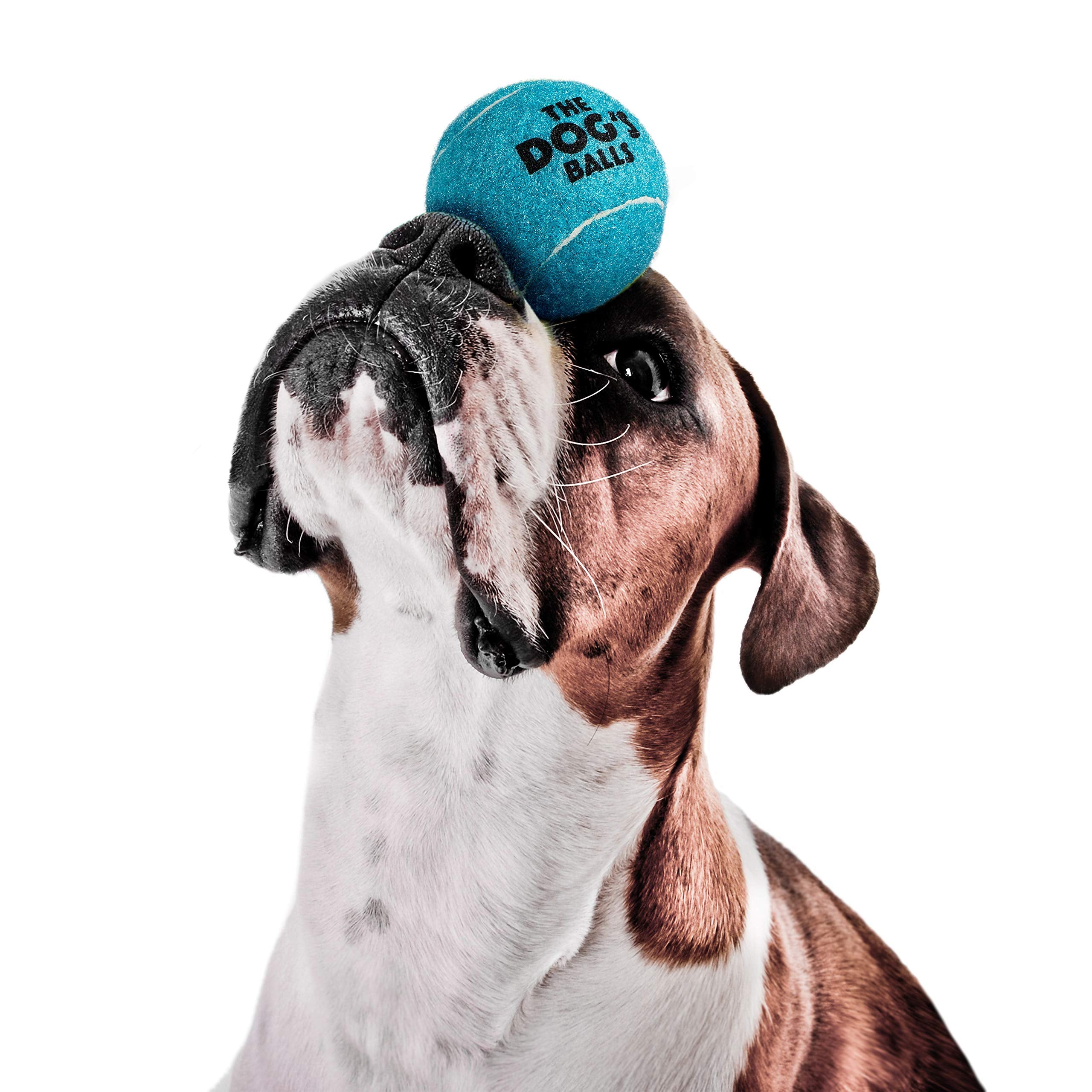 The Dog'S Balls, Dog Tennis Balls, 12-Pack Blue Dog Toy, Strong Dog & Puppy Ball For Training, Play, Exercise & Fetch