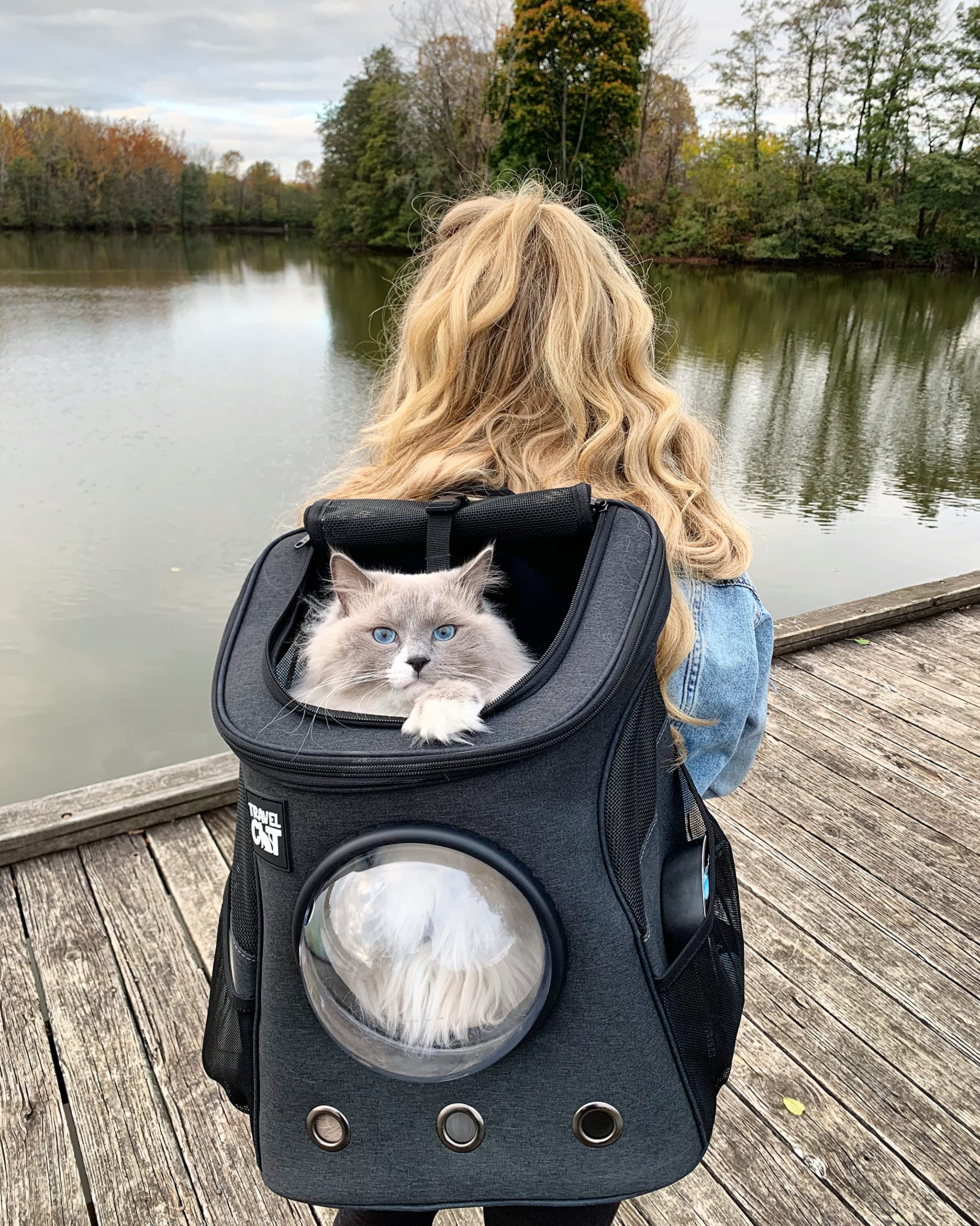 Fat Cat Backpack Carrier - Airline Approved Cat Carrier with Space Capsule Bubble for for Small Cats, Kitten - Premium Charcoal