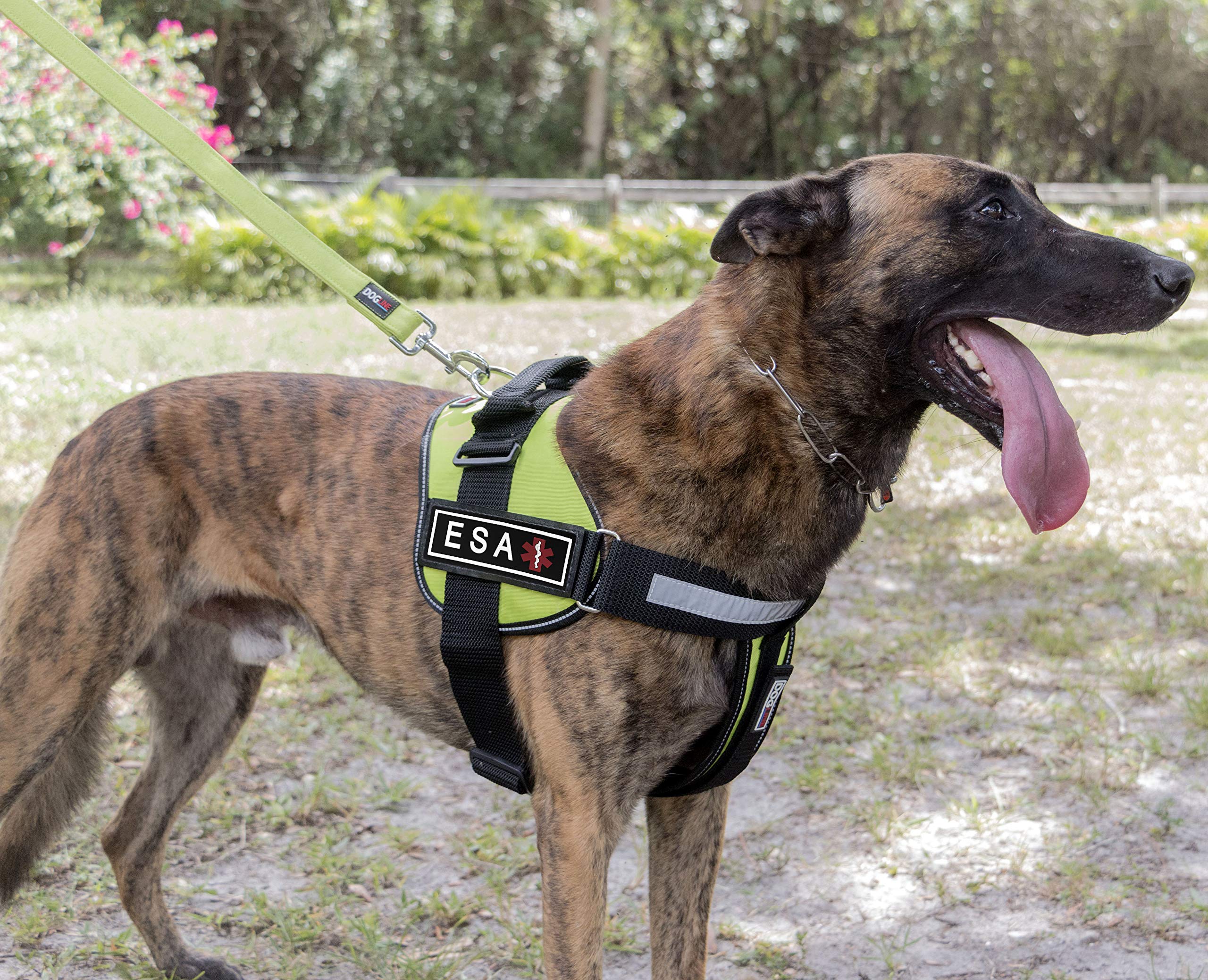 Dogline Emotional Support Animal Patch For Dog Harness And Vest Esa Removable 3D Rubber Patches Hook Backing For Small Or Large Service Dogs