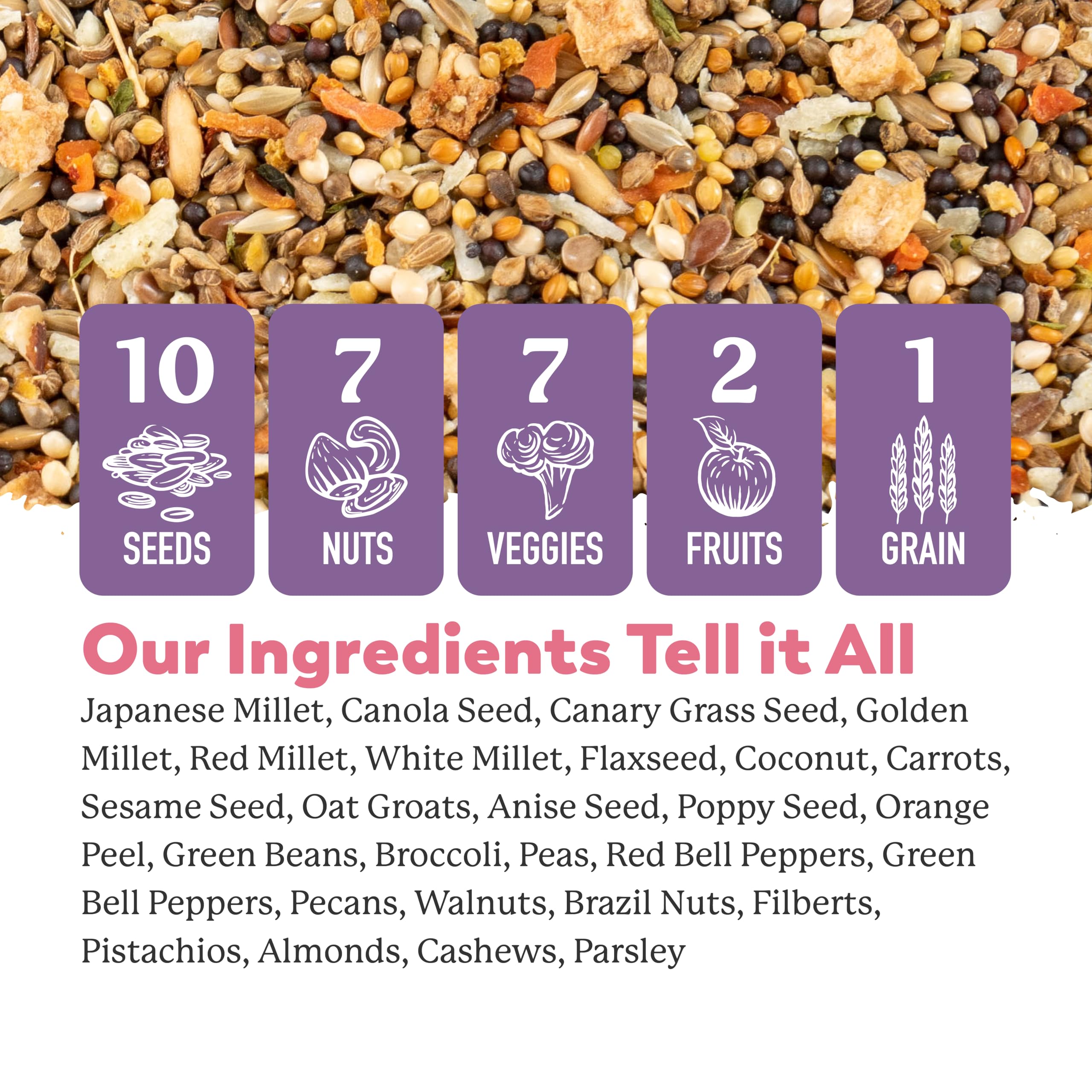 Dr. Harveys Fabulous Finch Food for Outside Feeder and Indoor Birds- Premium Bird Feed with Seeds, Nuts, Fruits, Vegetables for
