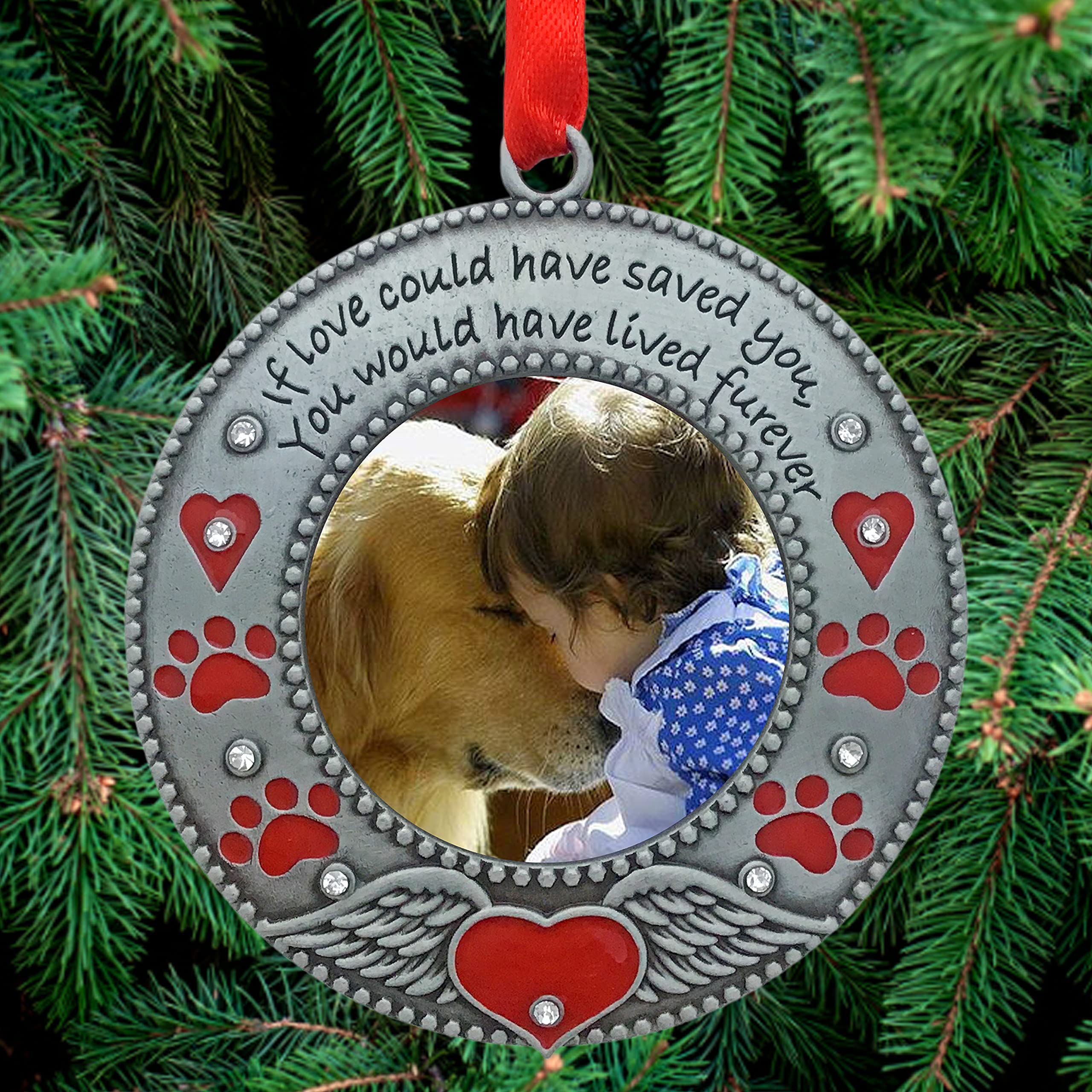 Pet Memorial Photo Ornament - Dog Or Cat - Enameled & Jeweled With Red Hearts, Angel Wings & Paw Prints - Gift/Storage Bag Included - 3' D And Holds A 2' D Photo