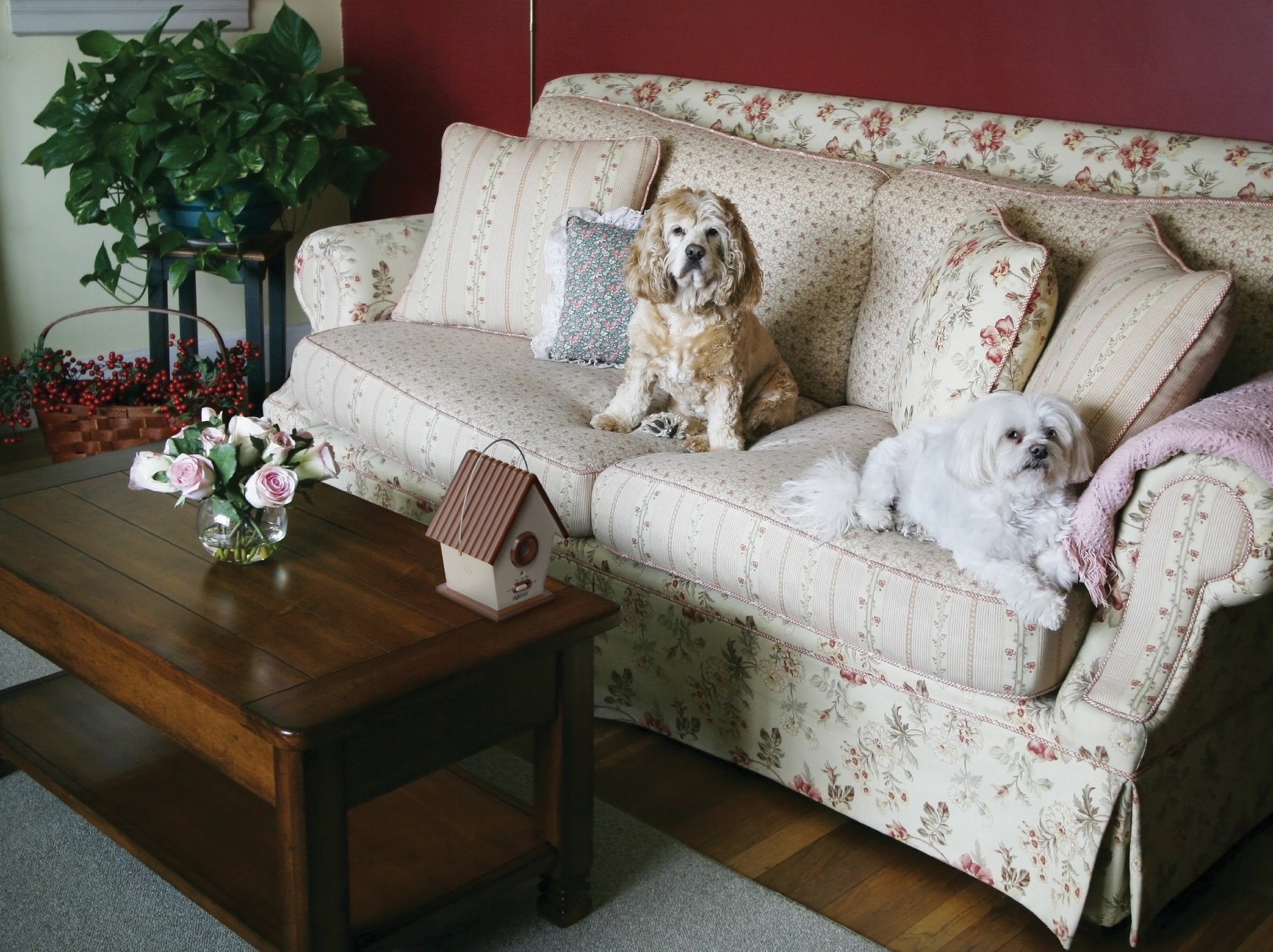 DOGTEK Sonic Bird House Bark Control - Outdoor/Indoor, Beige, New Version for Effective Dog Training