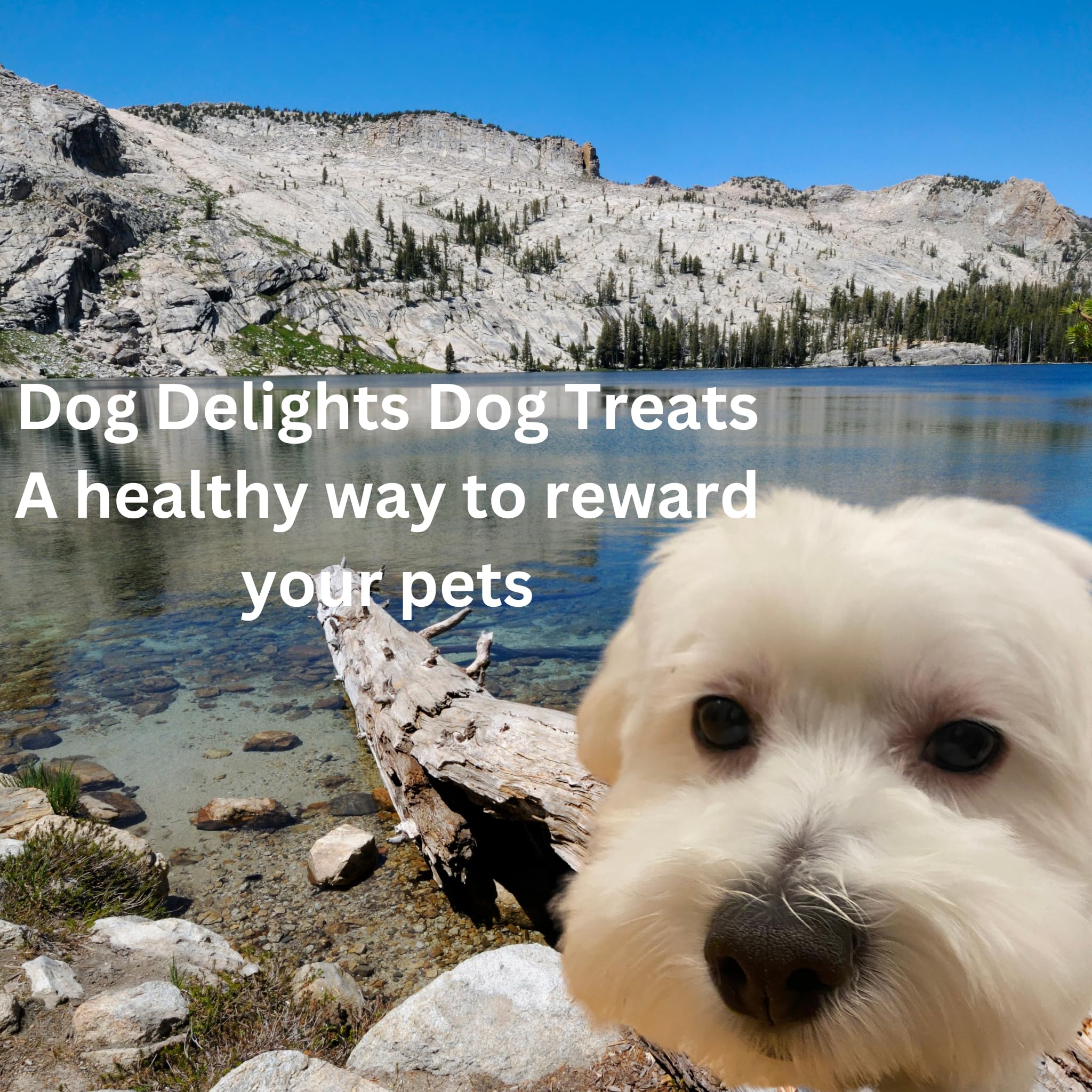 Dog Delights Chewy Duck Sticks Dog Treats - 1kg (2.2 lb) - Wholesome and Delicious Rewards for Your Furry Friend - Made in Canad