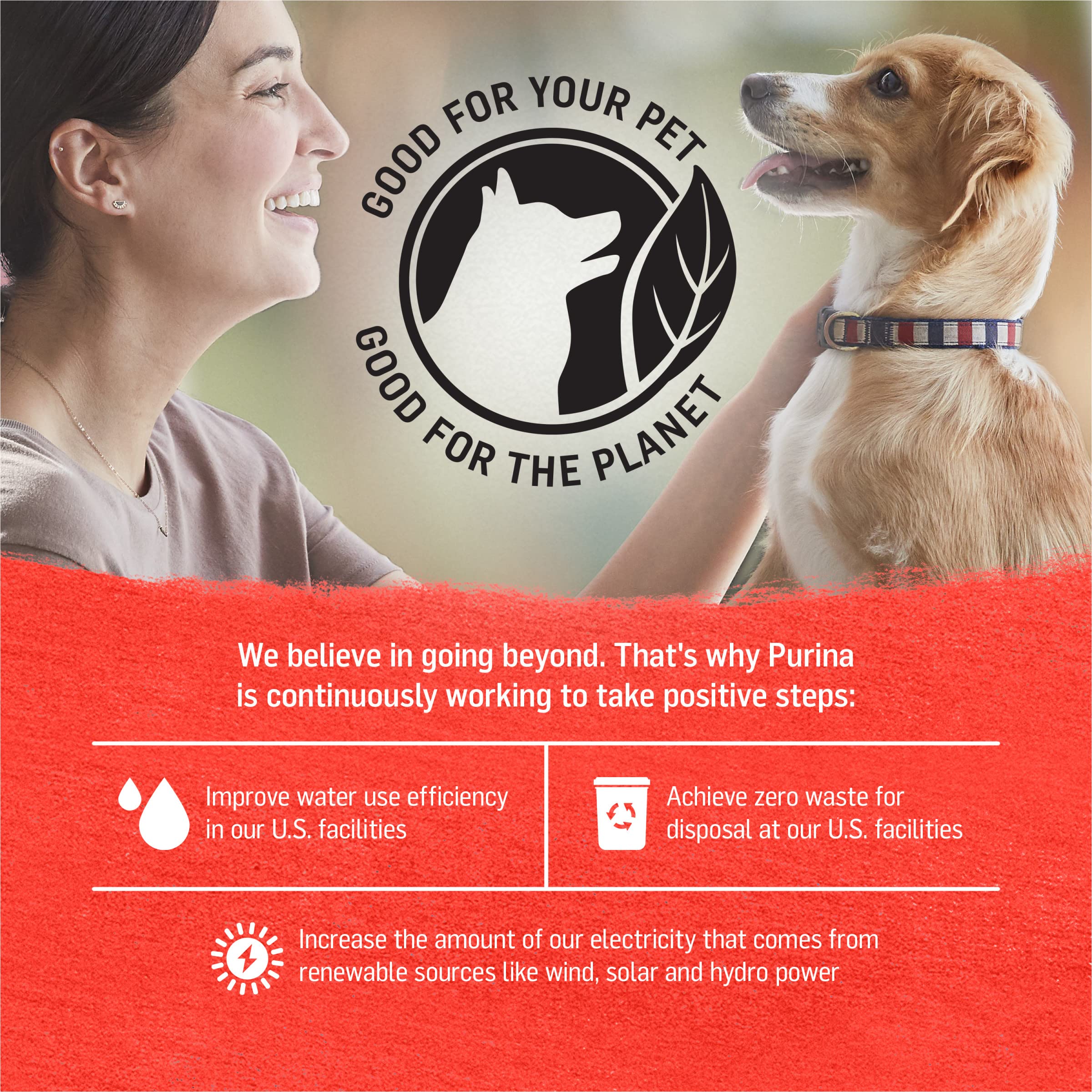 Purina Beyond Beef, Potato, and Green Bean Grain Free Wet Dog Food Natural Pate with Added Vitamins and Minerals - (Pack of 12)
